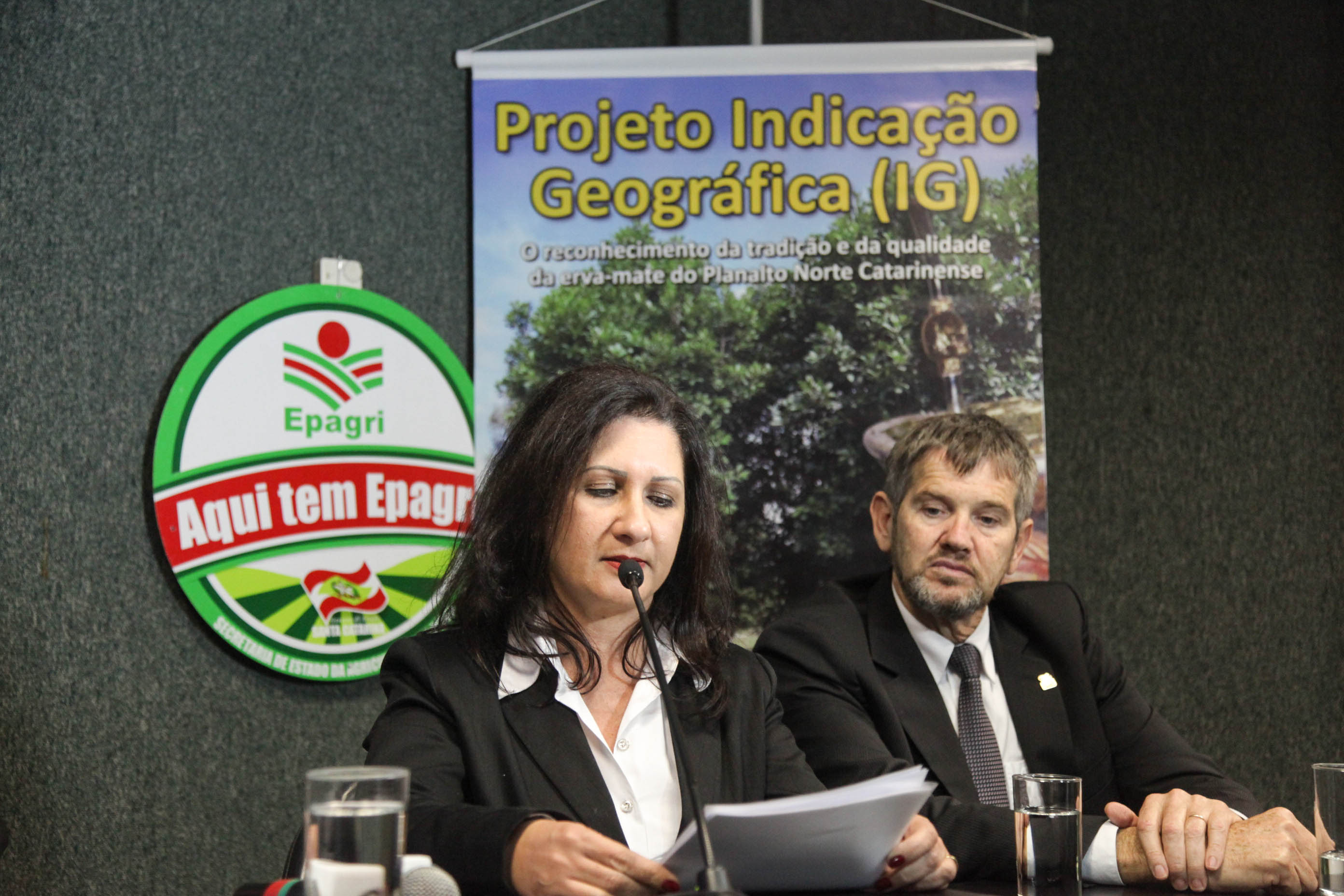 Reunião da Frente Parlamentar da Erva-Mate.