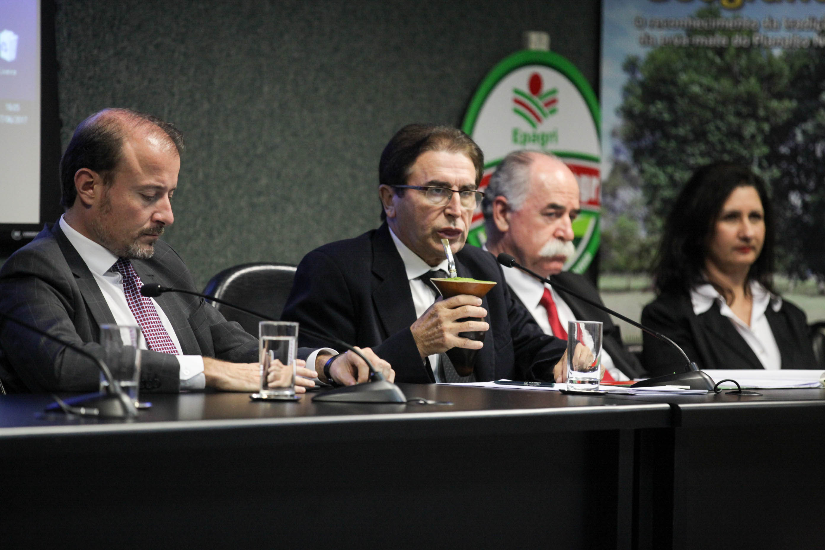 Reunião da Frente Parlamentar da Erva-Mate.