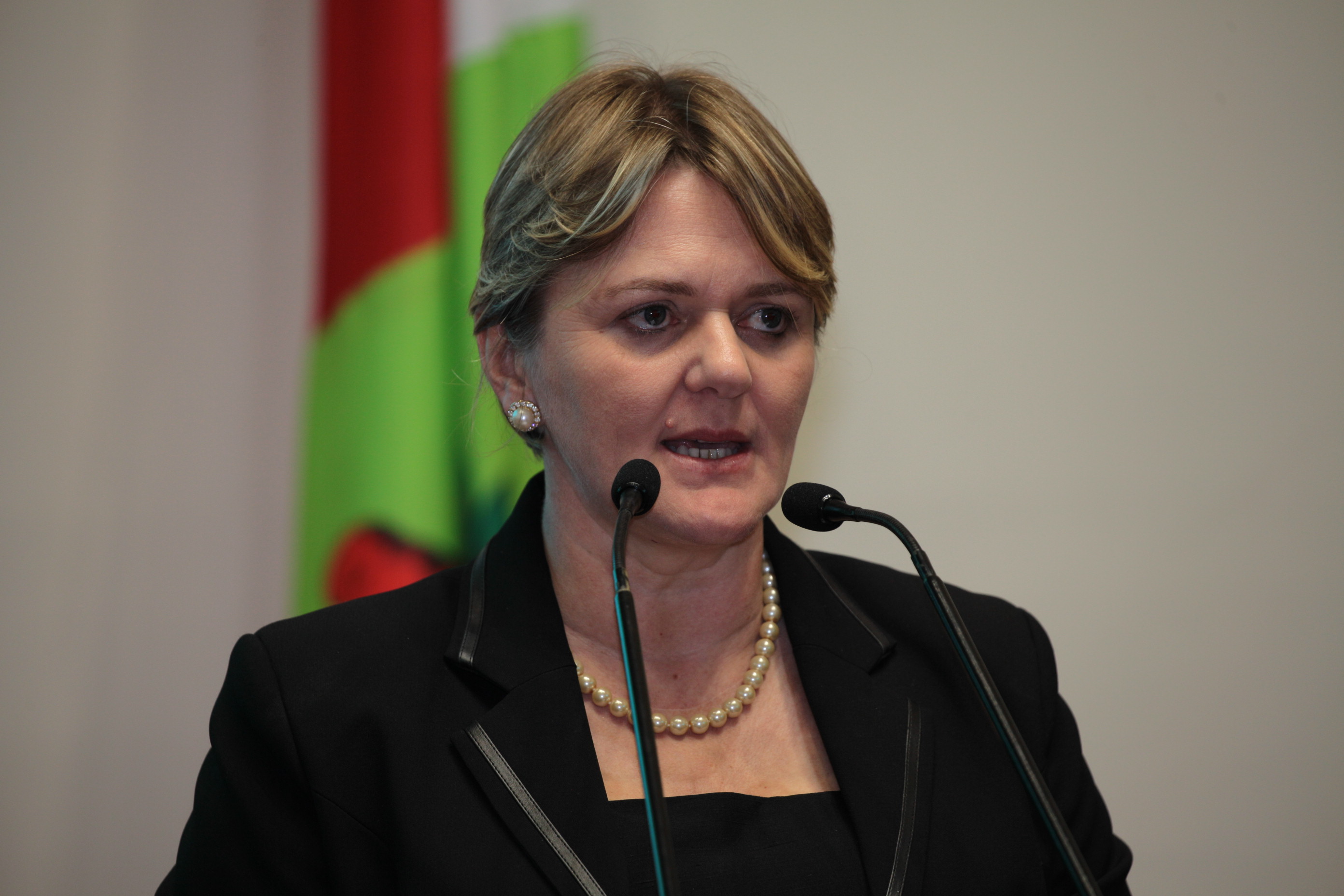 Sessão Ordinária.  Deputada Luciane Carminatti (PT)
