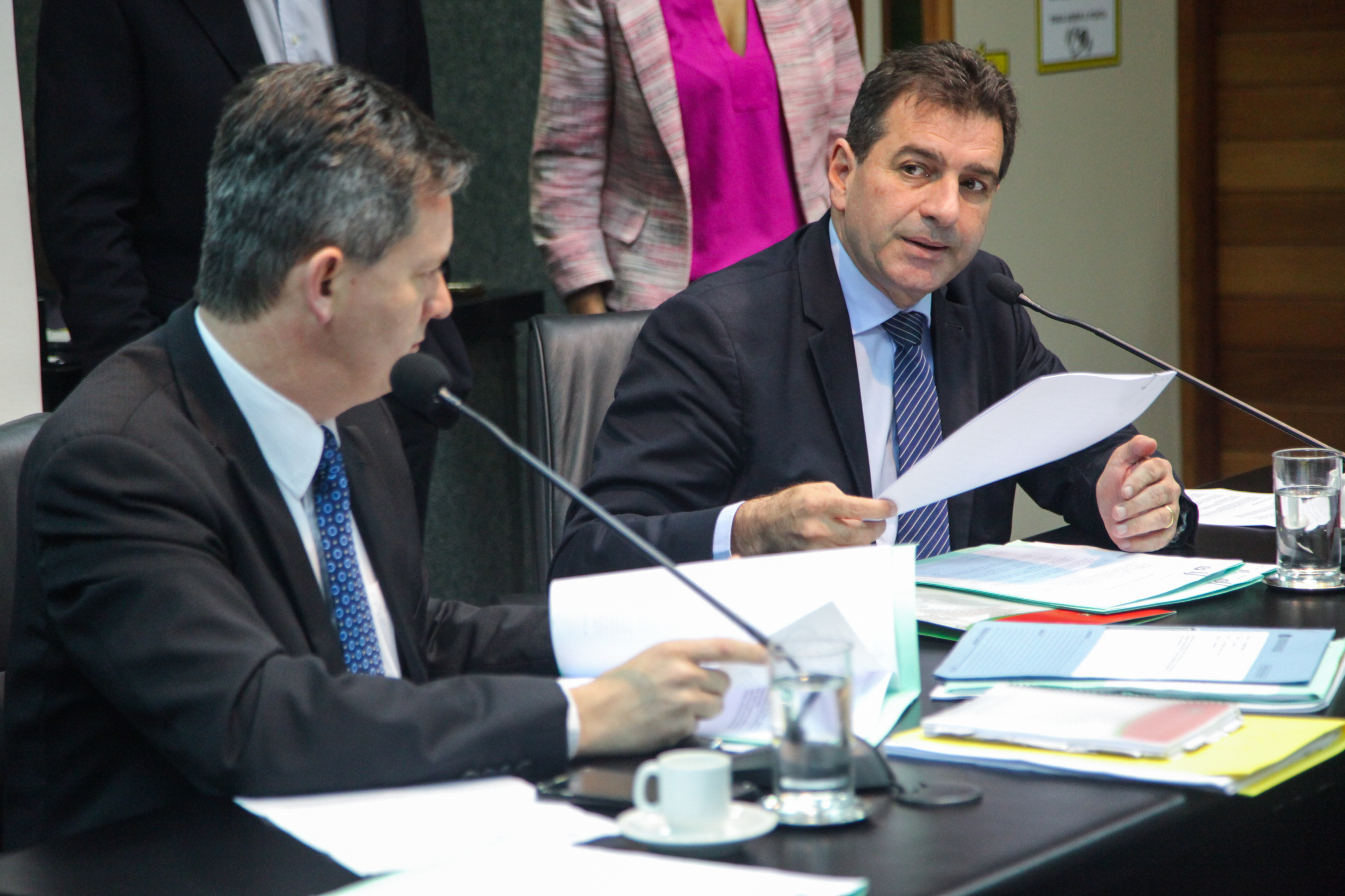 Deputado Valdir Cobalchini (PMDB). Comissão de Constituição e Justiça.