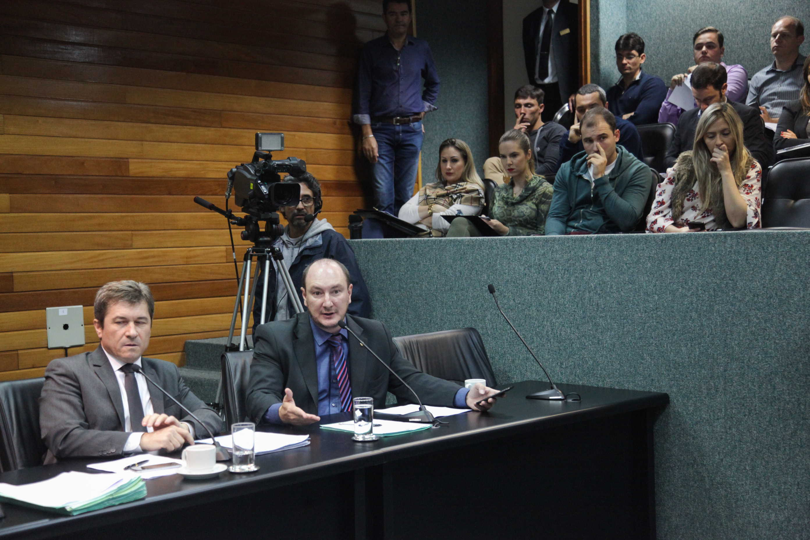 Comissão de Constituição e Justiça.