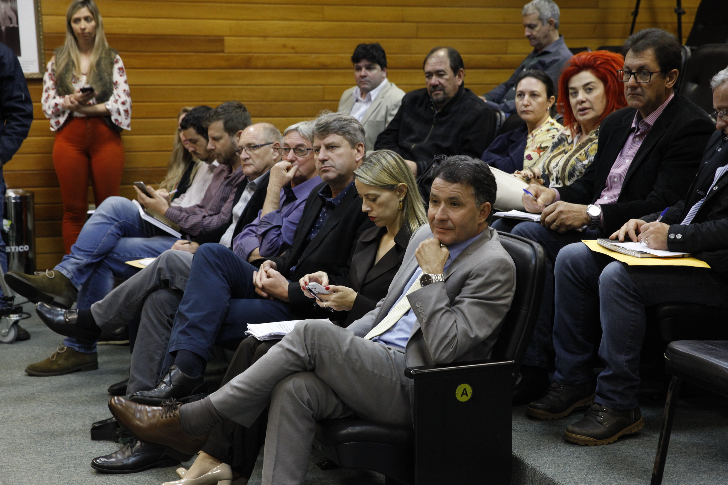 Reunião Conjunta das Comissões de Agricultura e Educação.