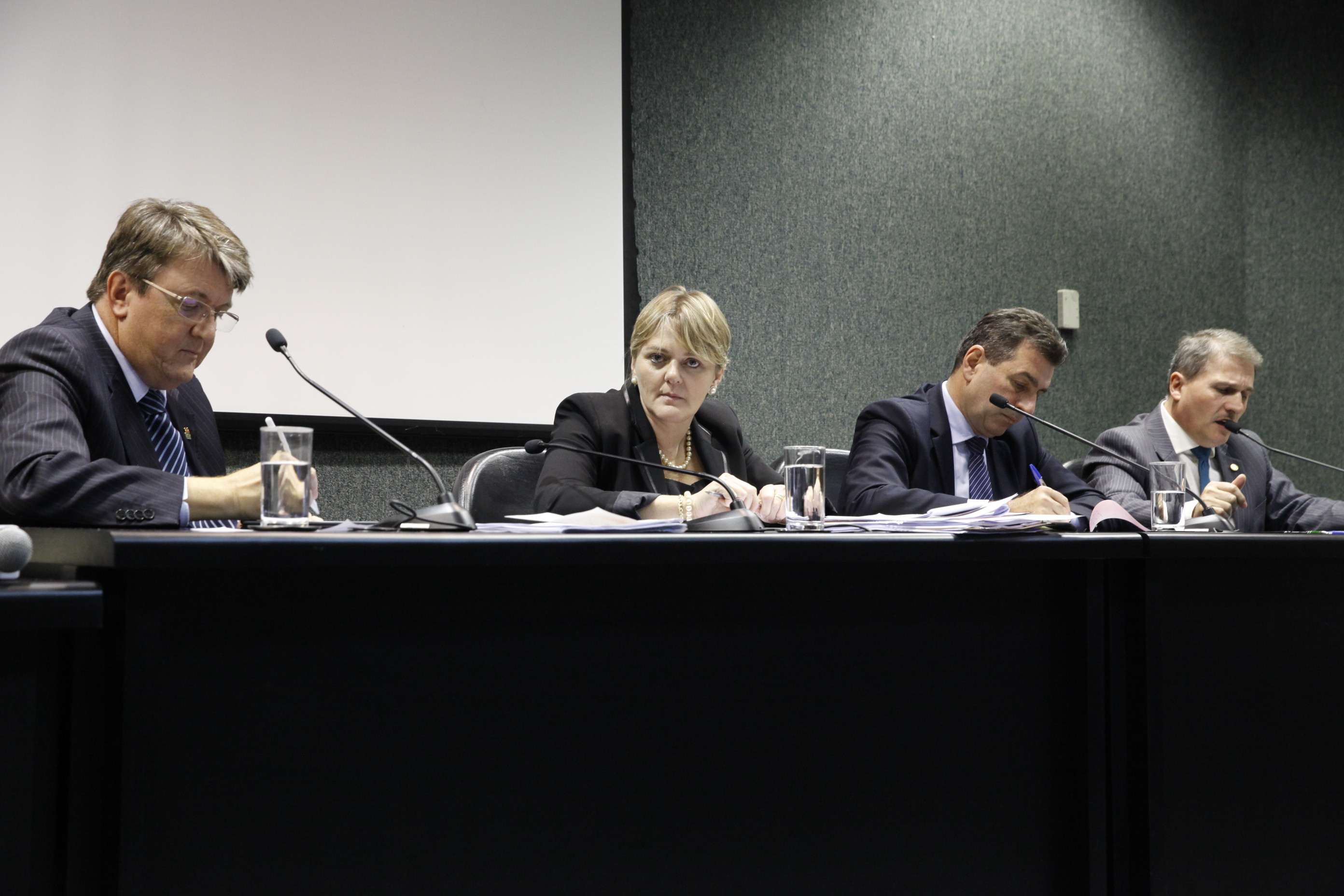 Reunião Conjunta das Comissões de Agricultura e Educação.