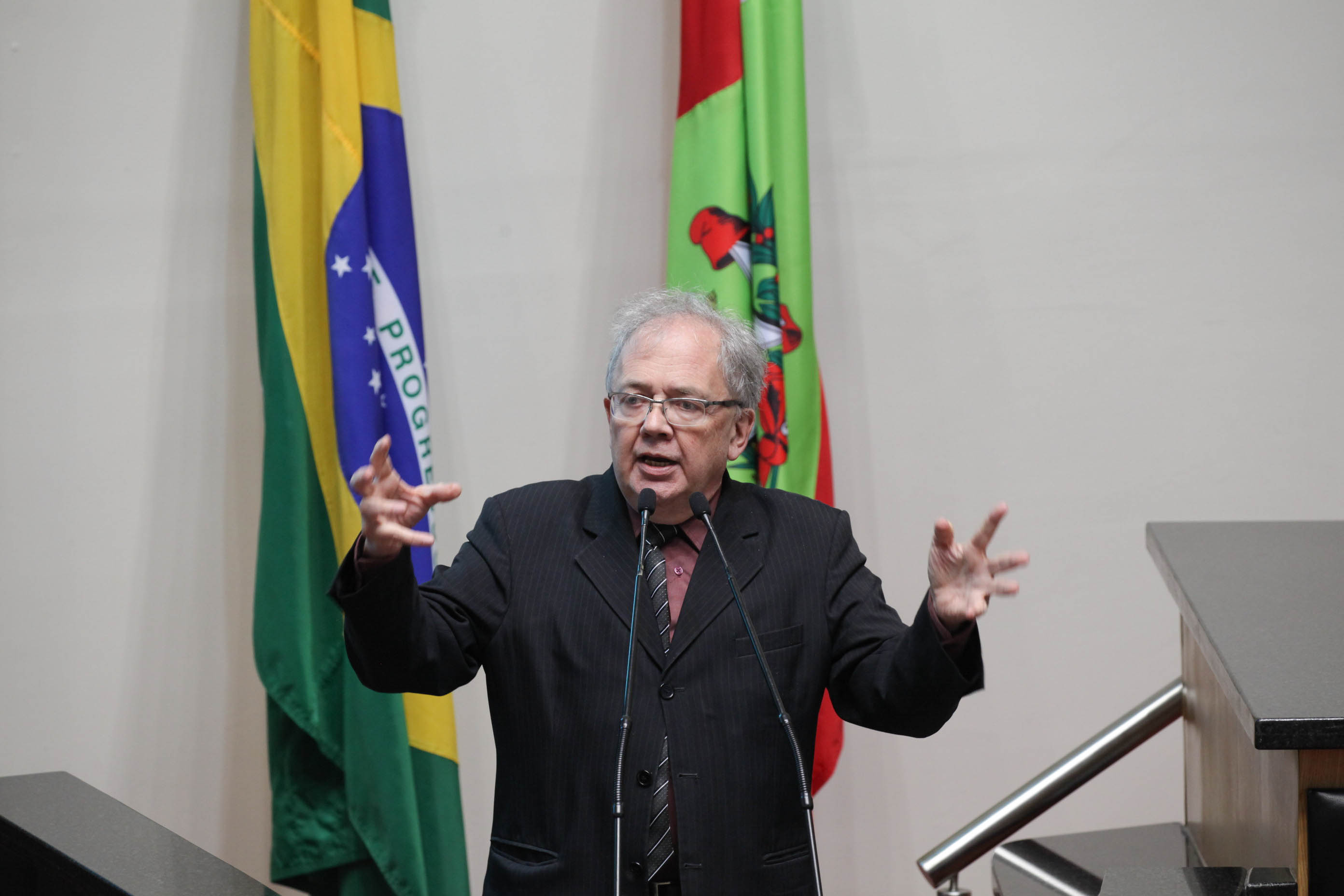 Deputado Fernando Coruja (PMDB). Sessão Ordinária. Foto: Karina Ferreira