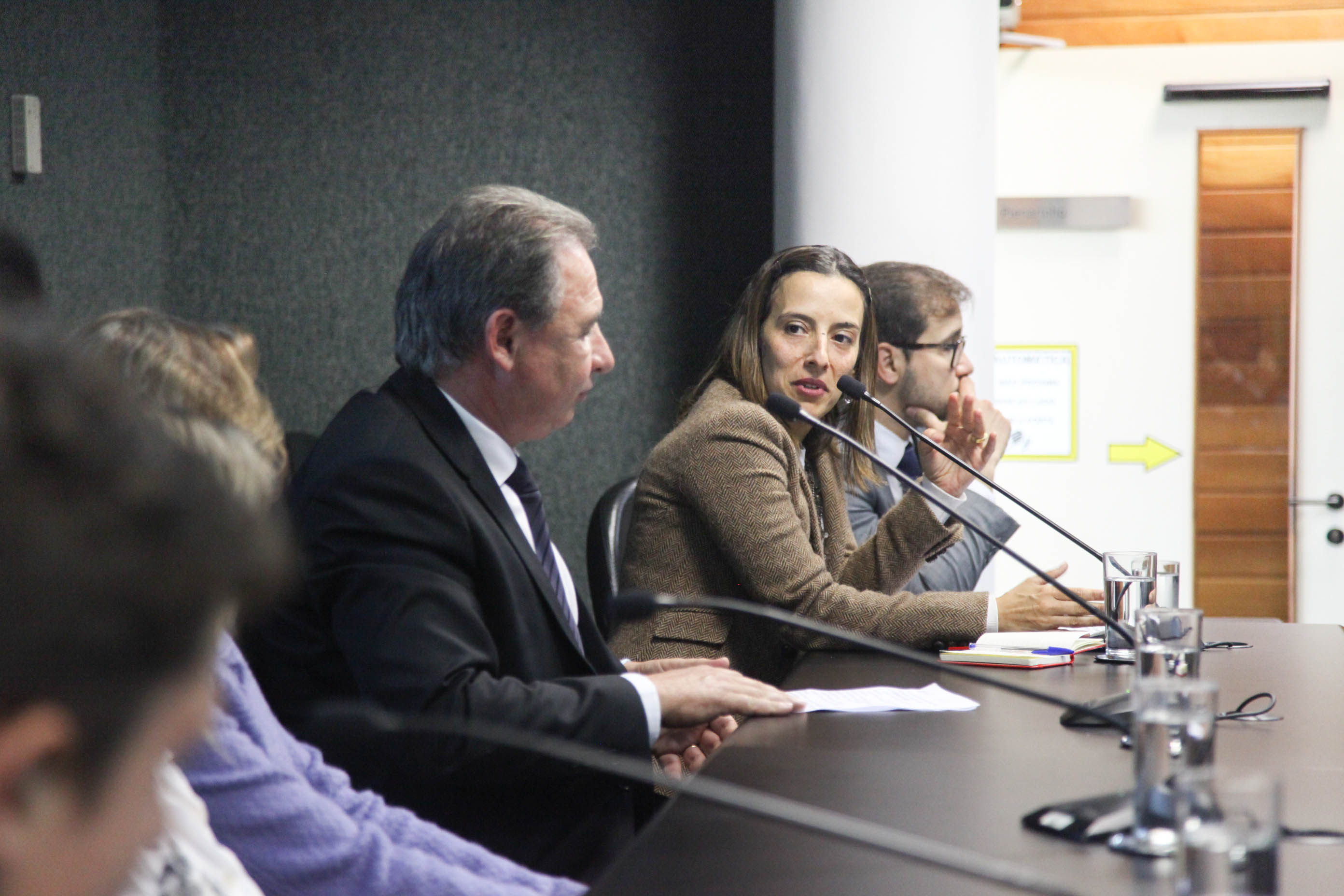 Audiência Pública da Comissão de Defesa dos Direitos da Criança e do Adolescente.