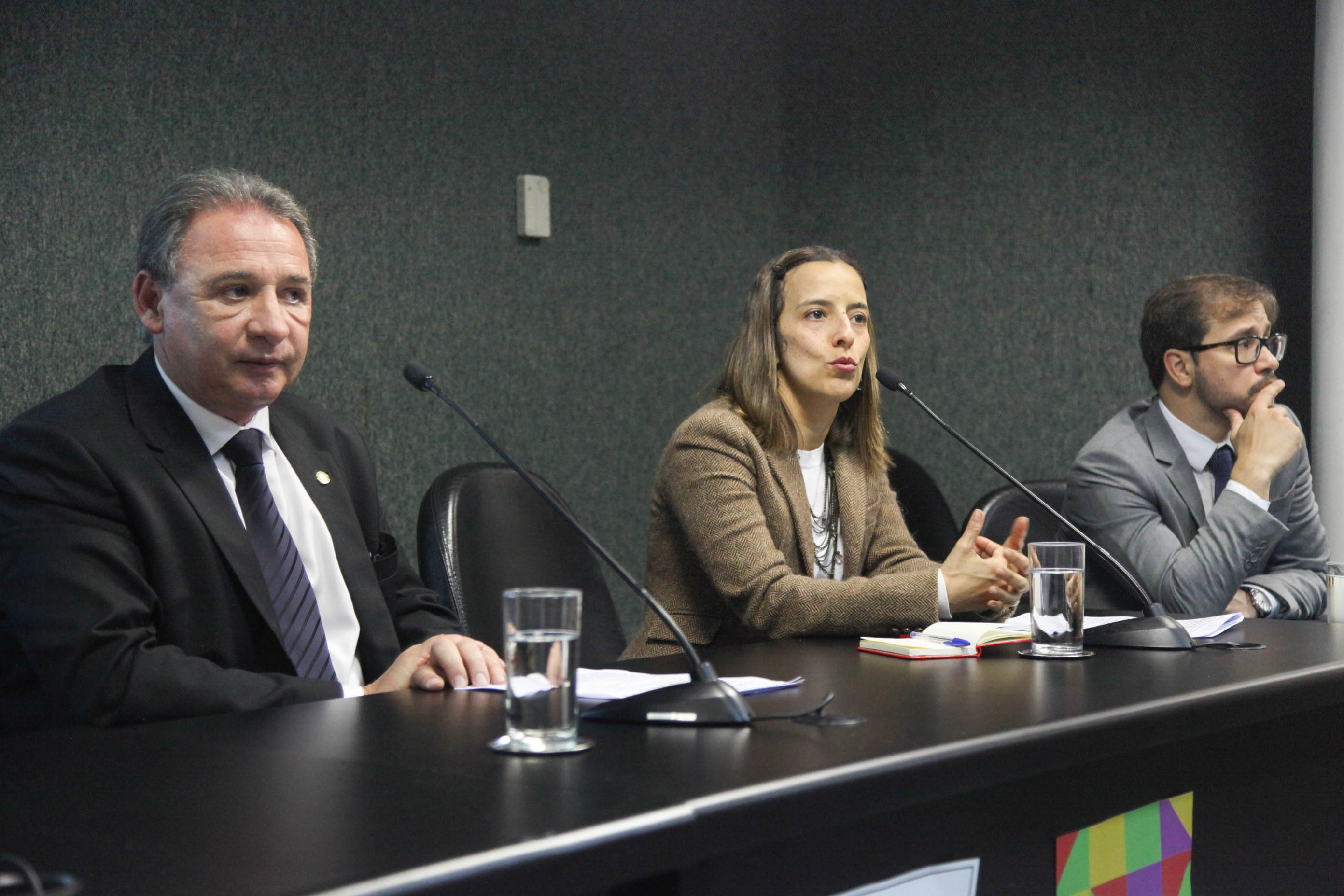 Audiência Pública da Comissão de Defesa dos Direitos da Criança e do Adolescente.