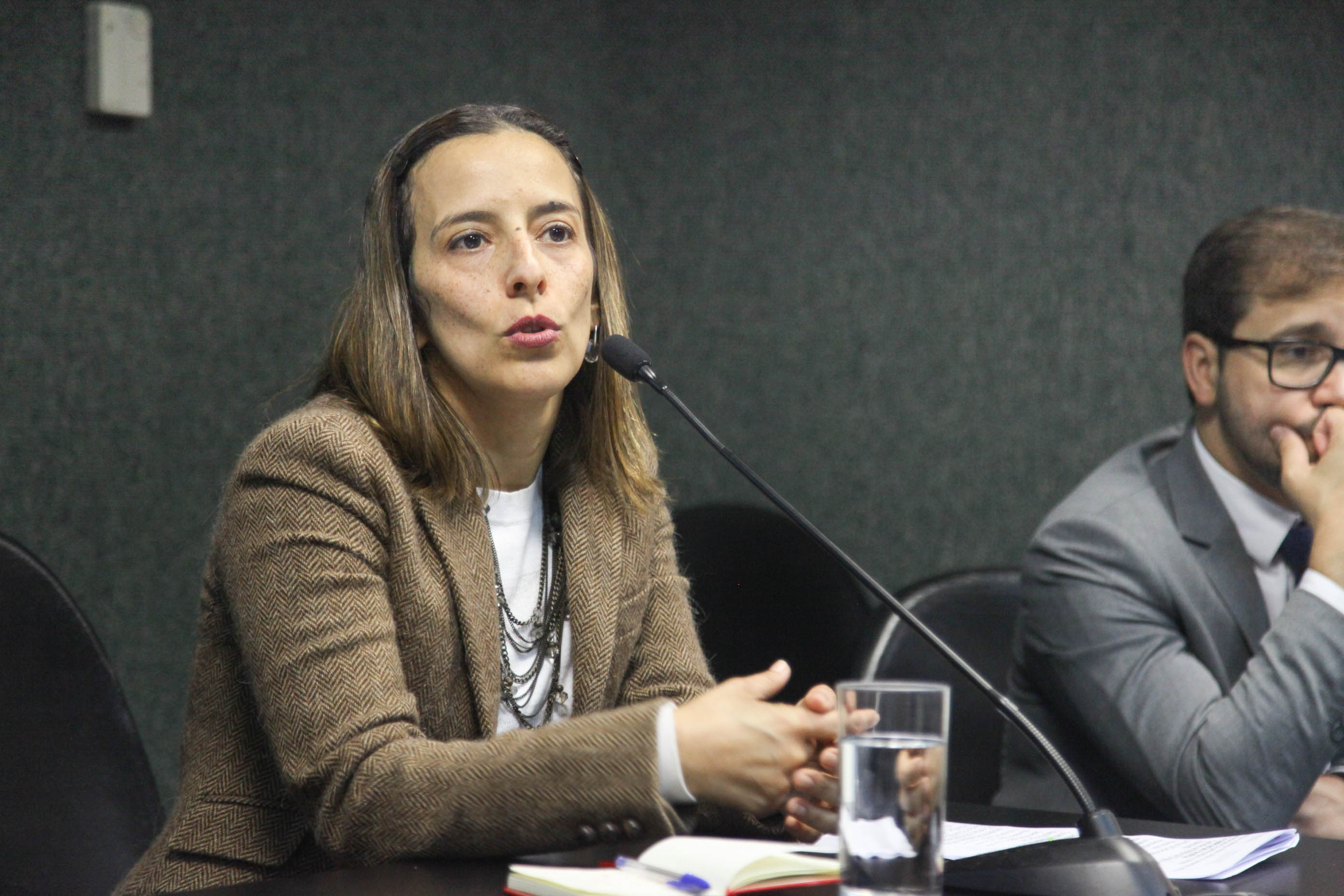 Audiência Pública da Comissão de Defesa dos Direitos da Criança e do Adolescente.