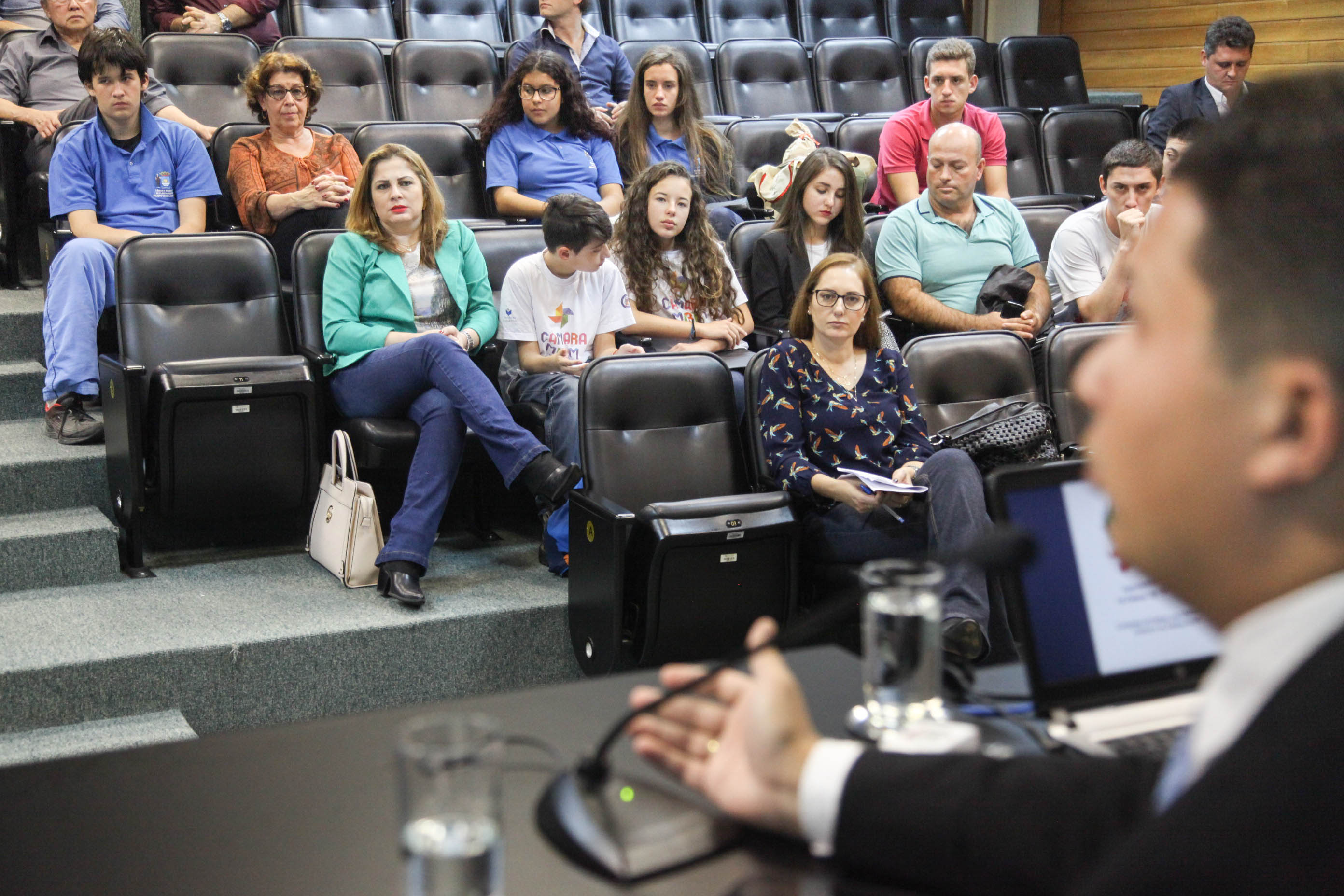 Audiência Pública da Comissão de Defesa dos Direitos da Criança e do Adolescente.