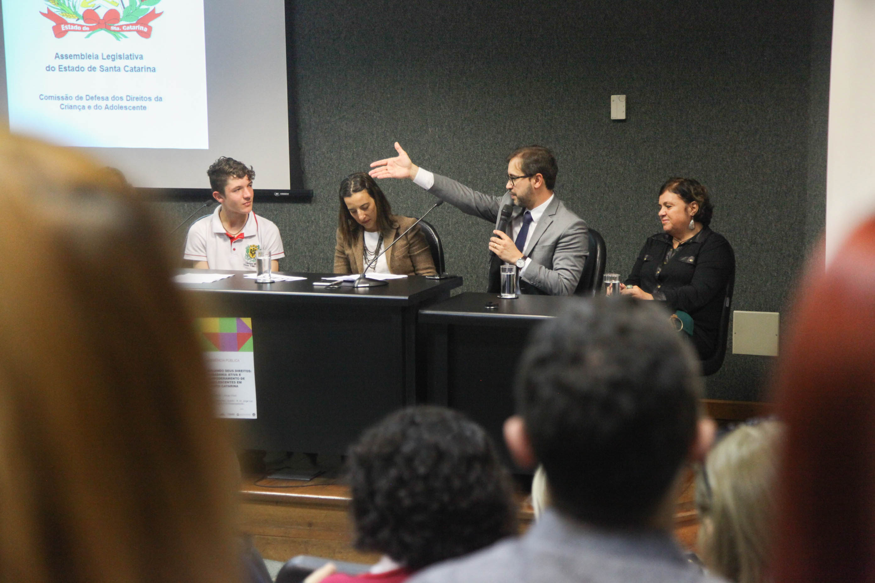 Audiência Pública da Comissão de Defesa dos Direitos da Criança e do Adolescente.