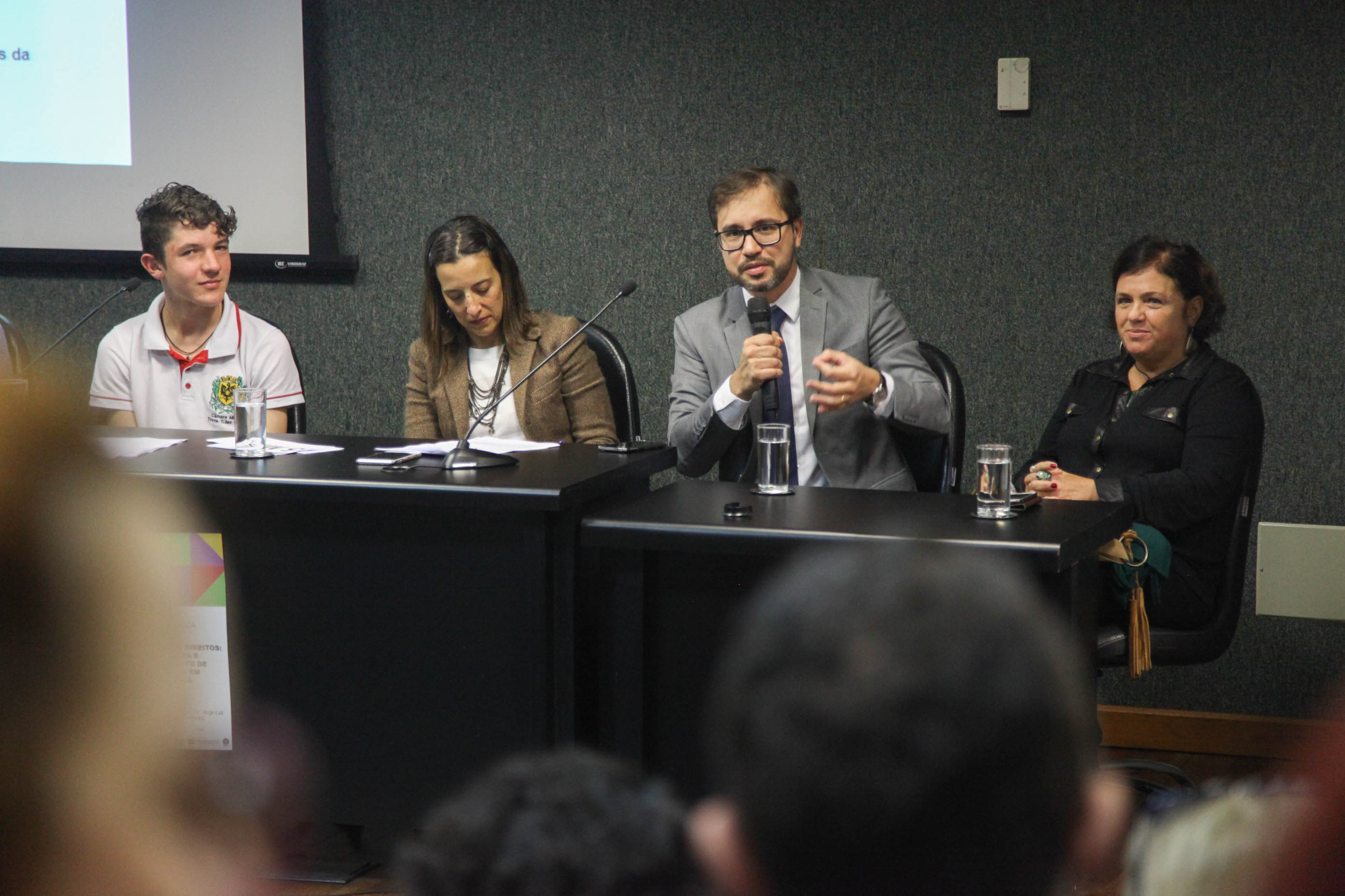 Audiência Pública da Comissão de Defesa dos Direitos da Criança e do Adolescente.