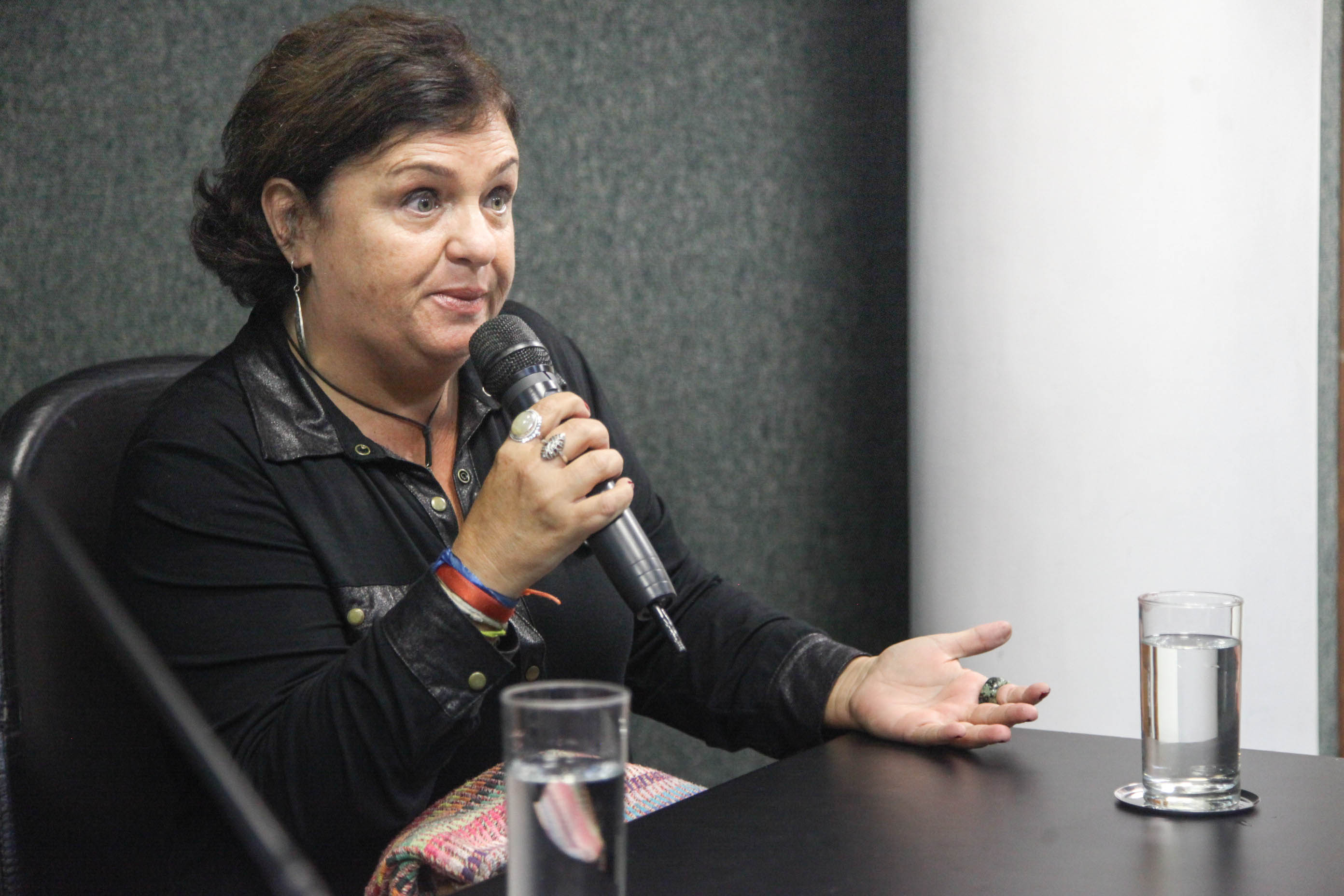 Audiência Pública da Comissão de Defesa dos Direitos da Criança e do Adolescente.