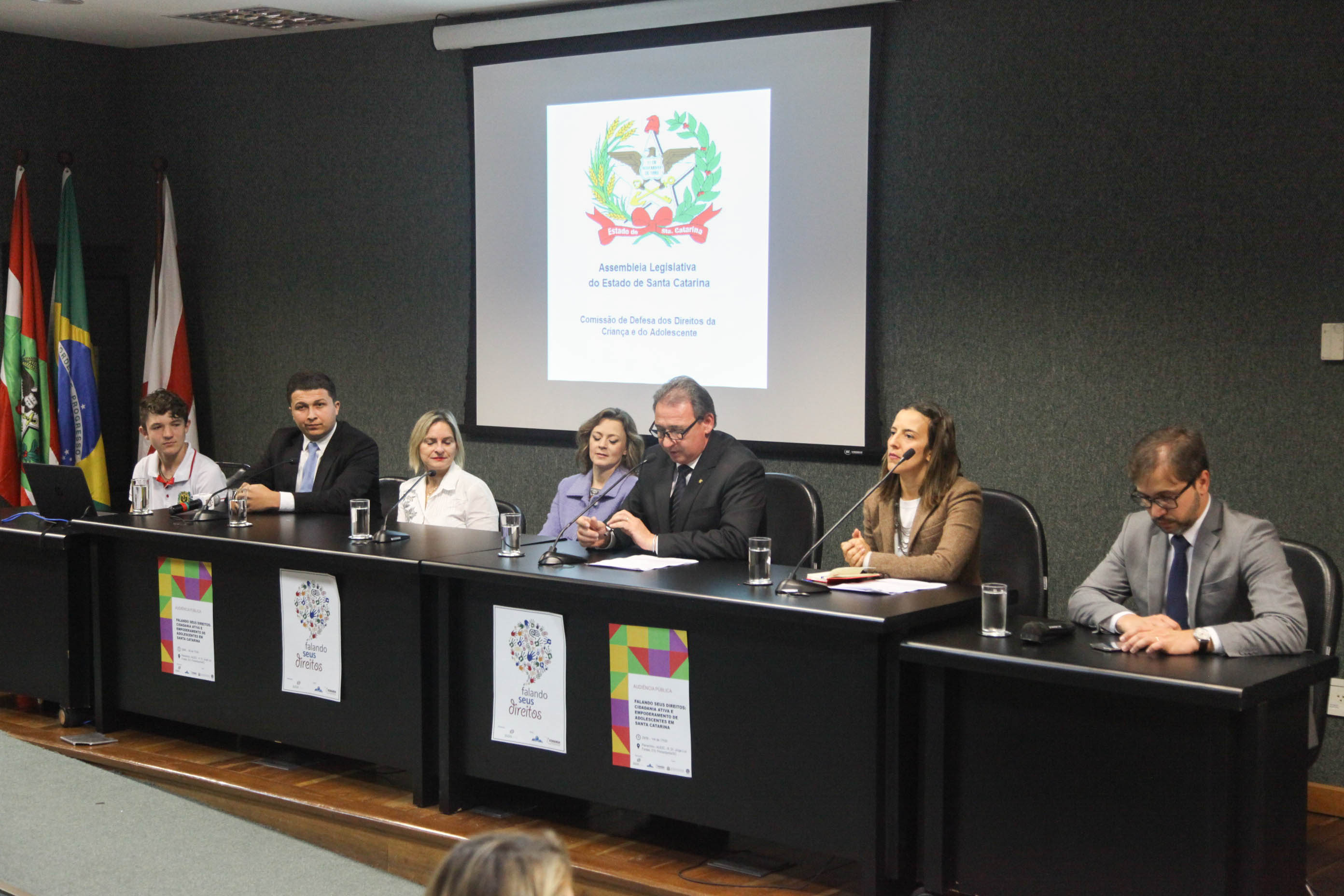 Audiência Pública da Comissão de Defesa dos Direitos da Criança e do Adolescente.