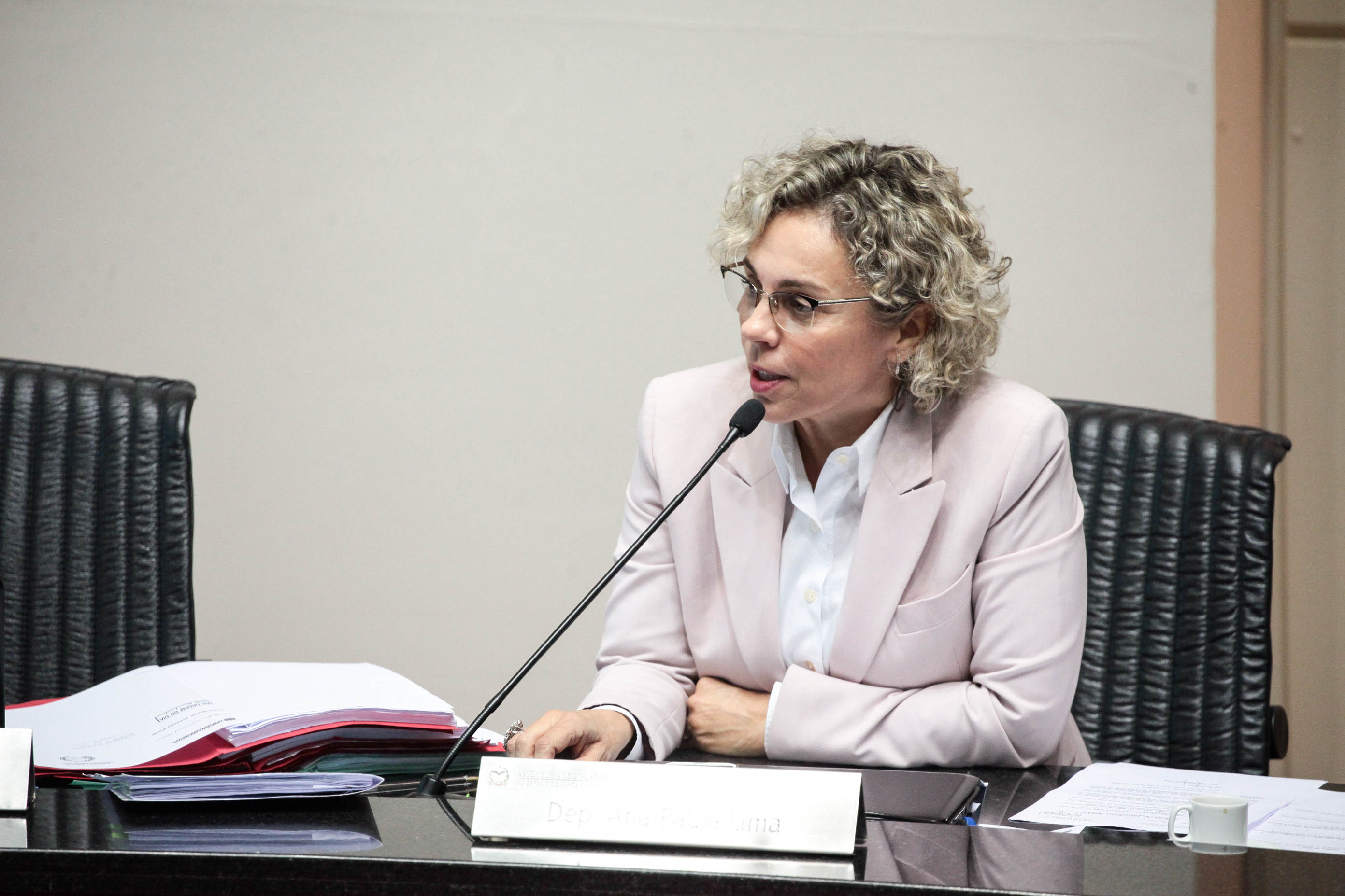 Deputada Ana Paula Lima (PT). Sessão Ordinária.