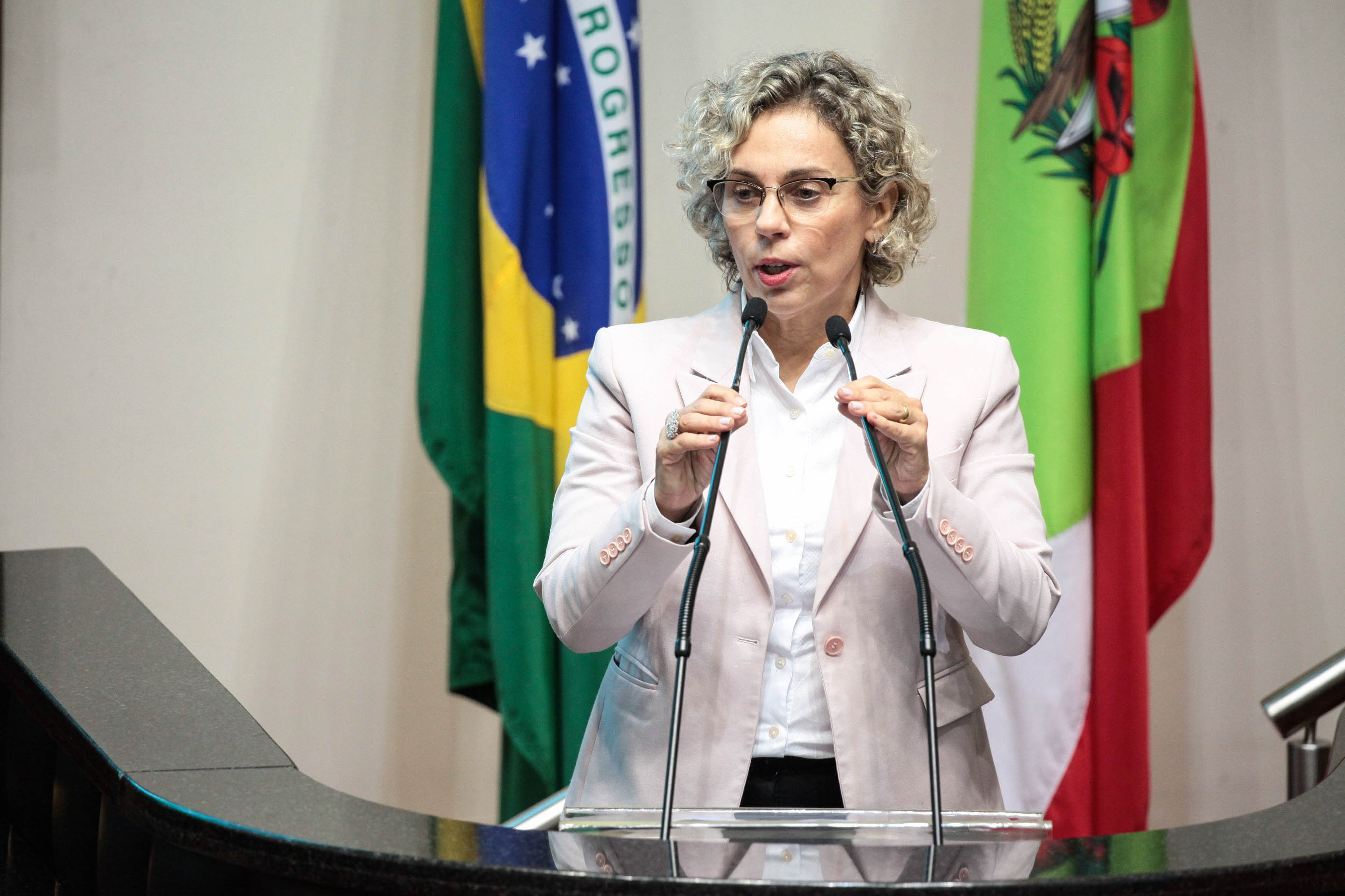 Deputada Ana Paula Lima (PT). Sessão Ordinária.