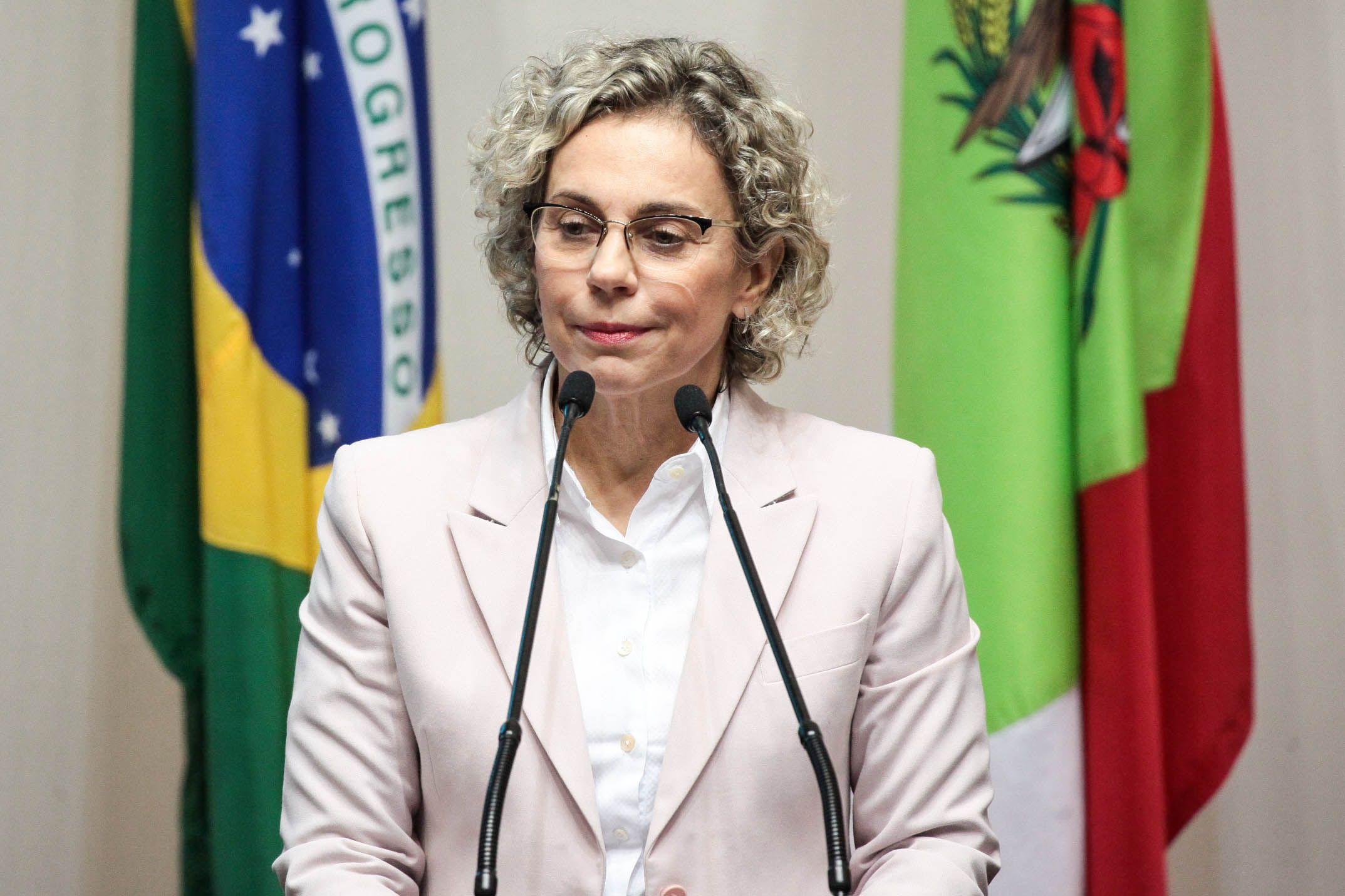 Deputada Ana Paula Lima (PT). Sessão Ordinária.