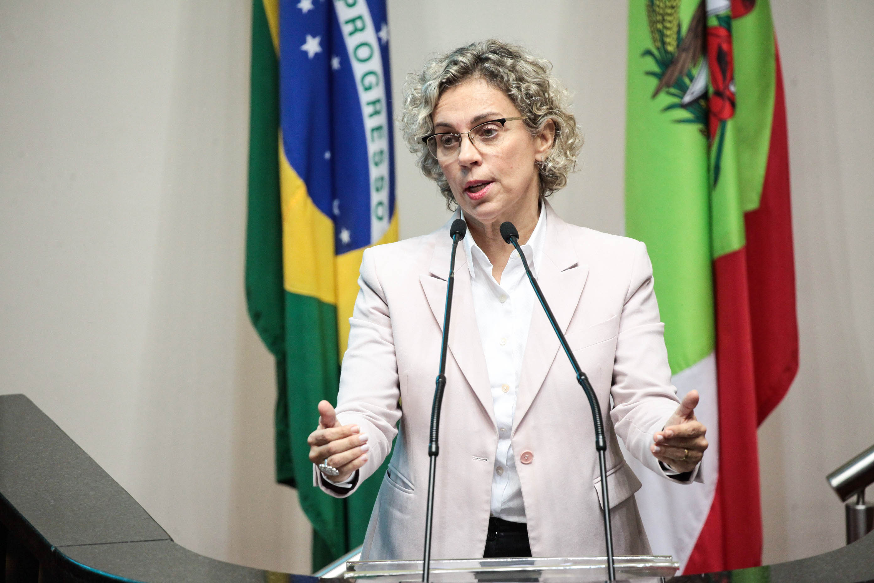 Deputada Ana Paula Lima (PT). Sessão Ordinária.