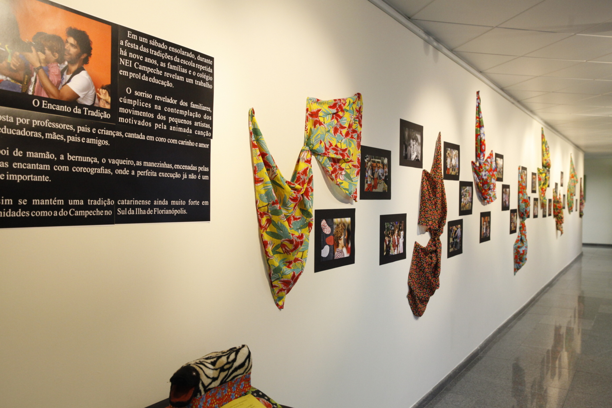 Exposição fotográfica exalta tradição do boi de mamão