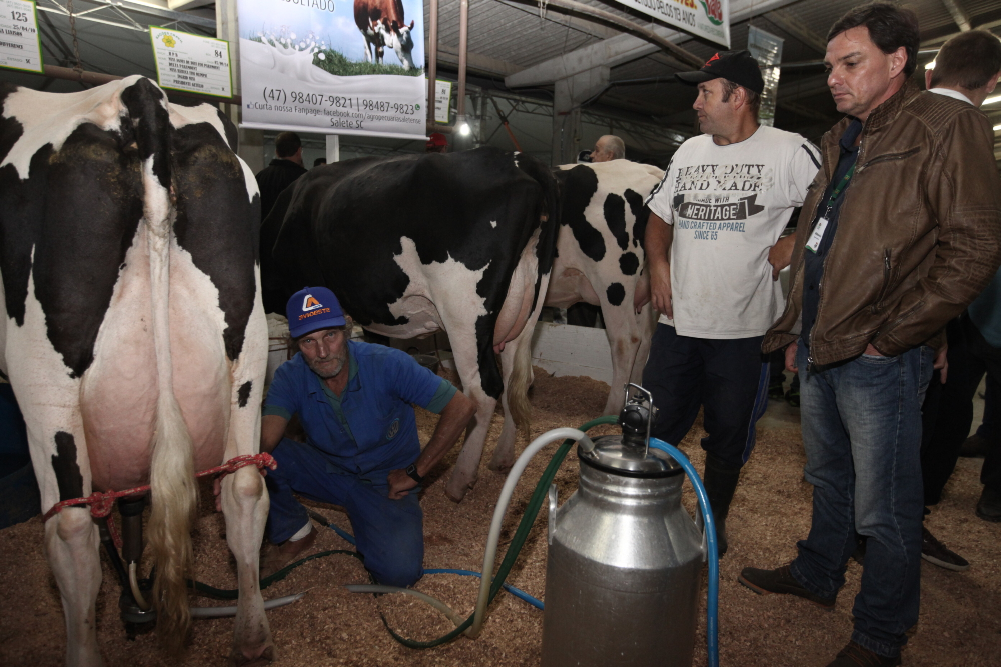 Município de Presidente Getúlio produz até 70 mil litros de leite por dia