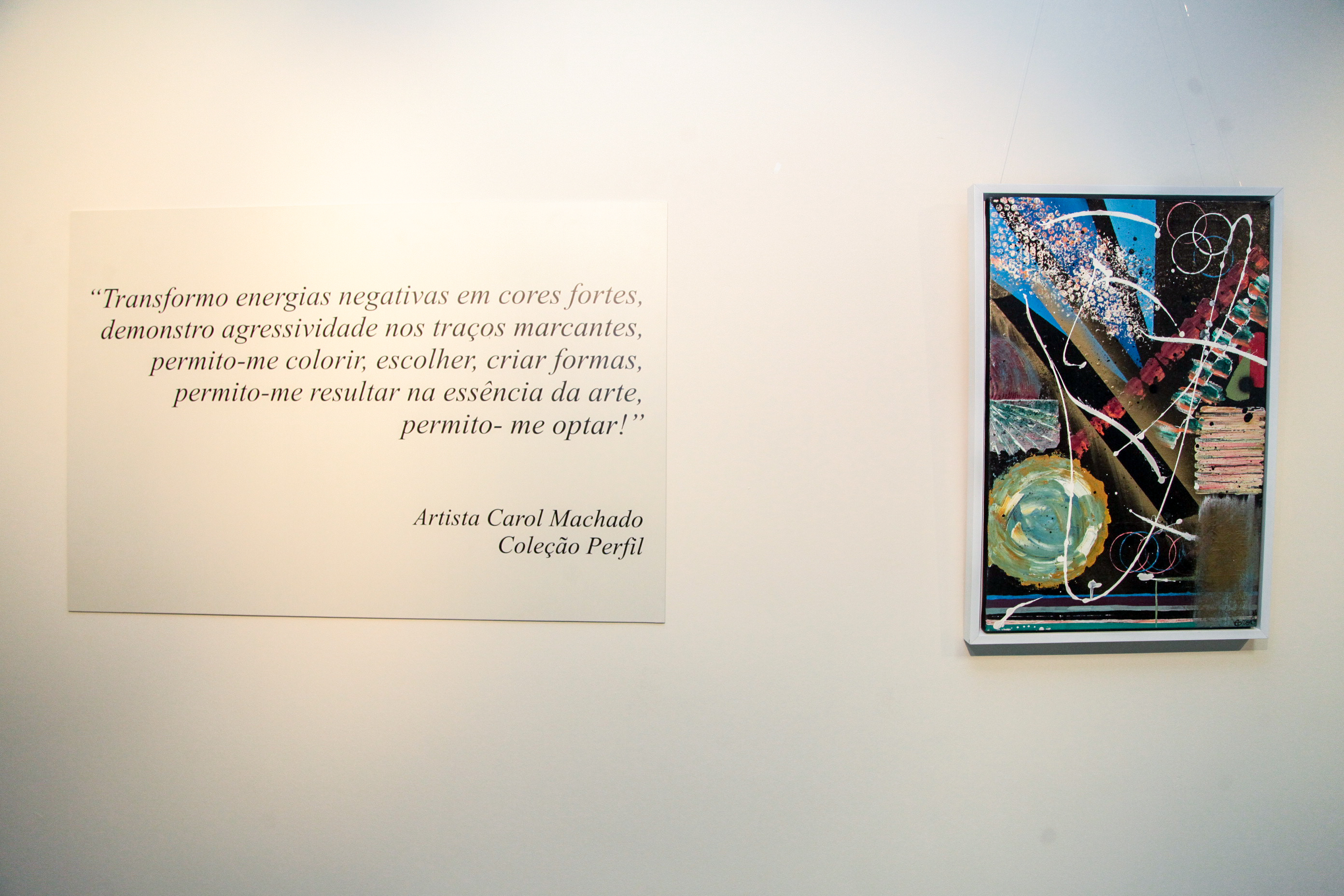 Exposição Coleção Perfil.