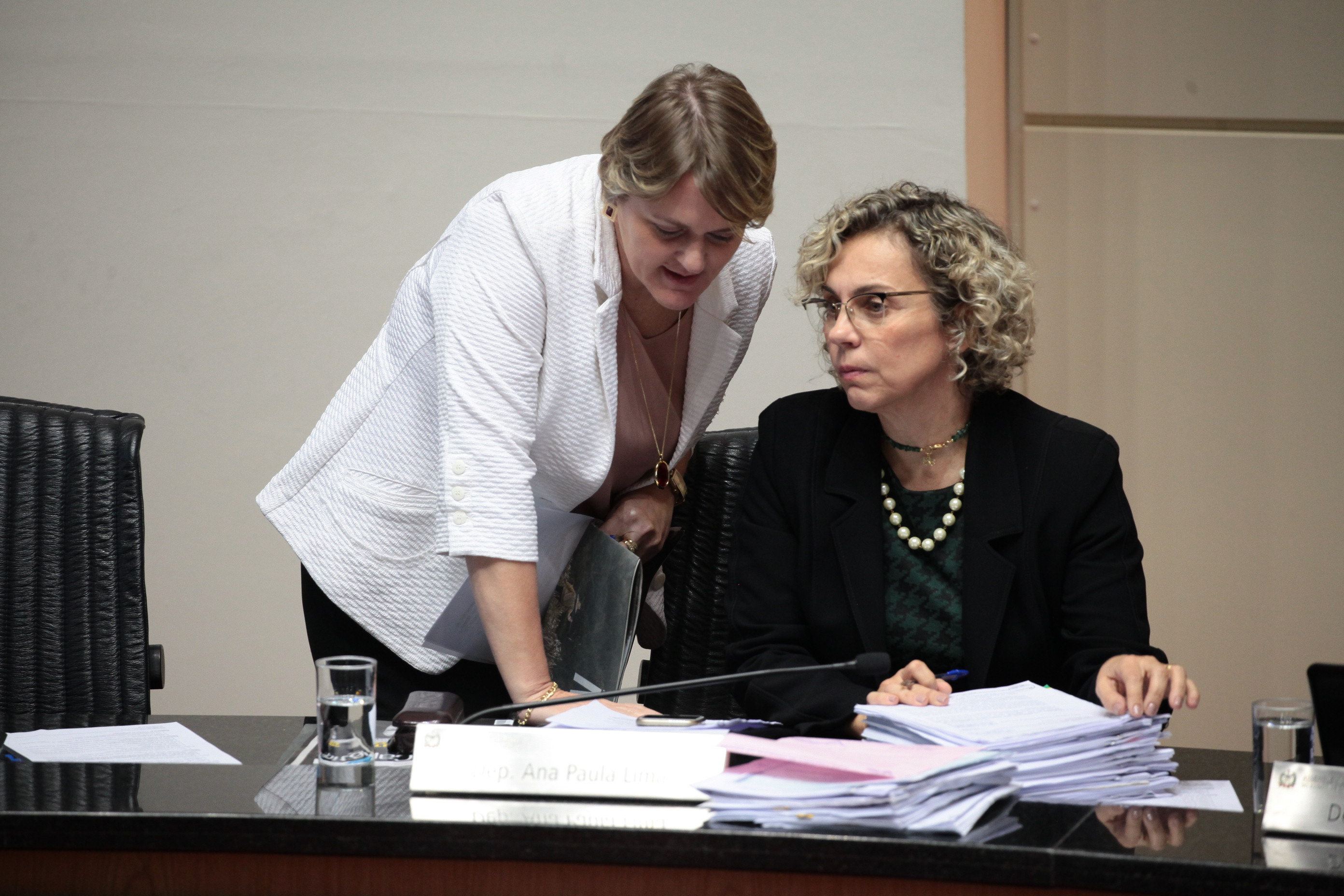 Sessão Ordinária. Foto: Miriam Zomer / Agência AL