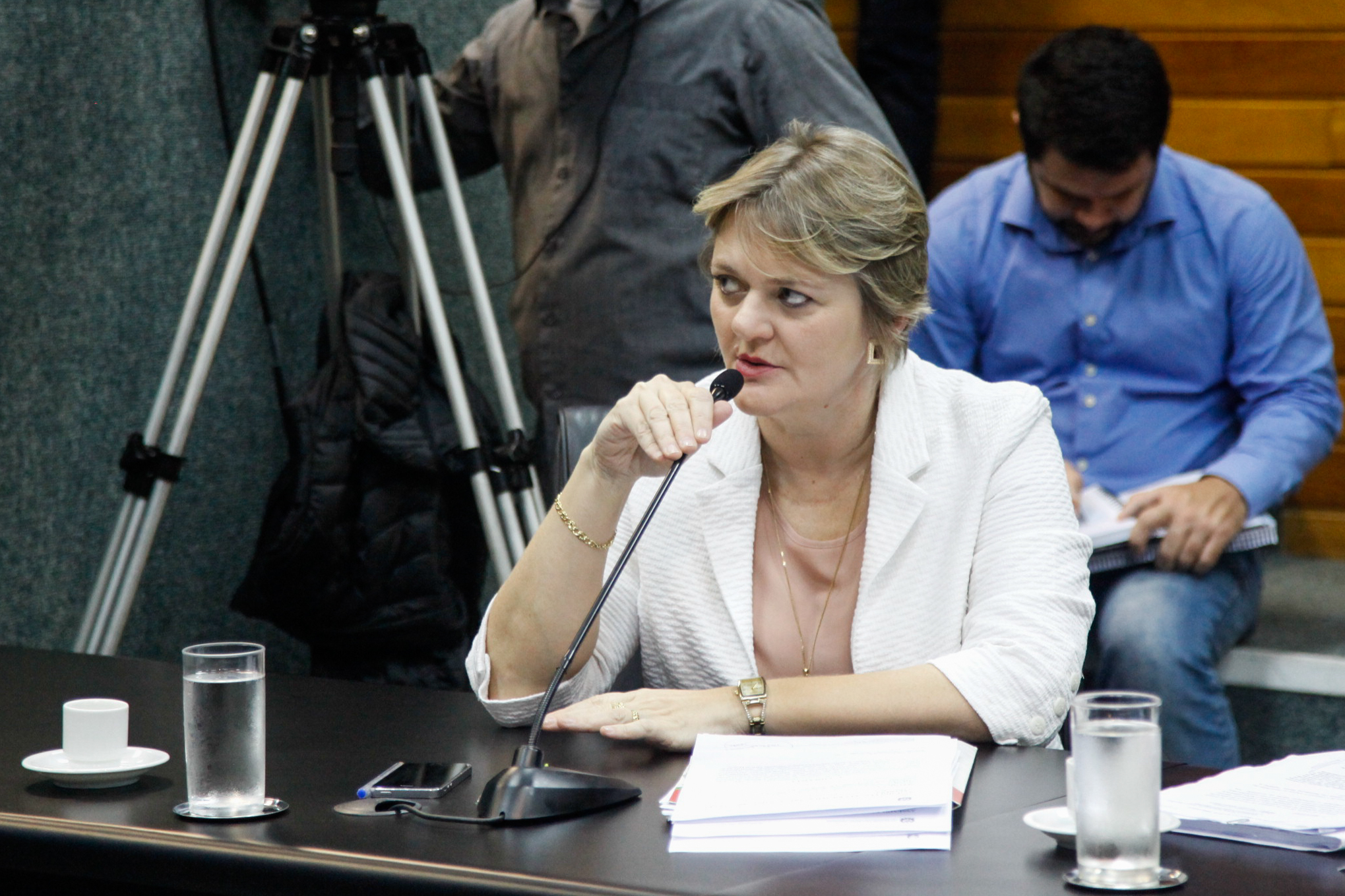 Deputada Luciane Carminatti (PT). Comissão de Finanças e Tributação.