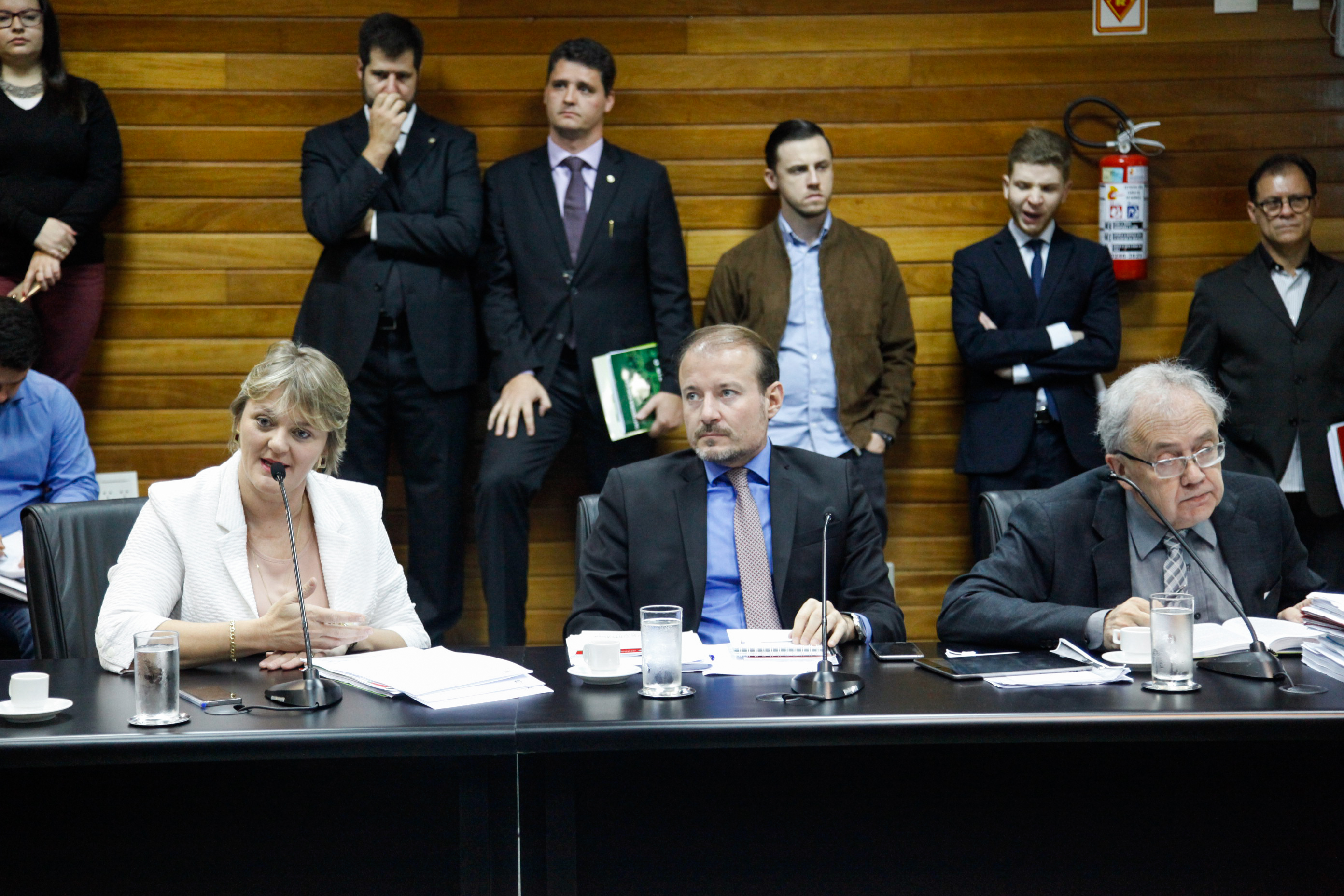 Deputada Luciane Carminatti (PT). Comissão de Finanças e Tributação.