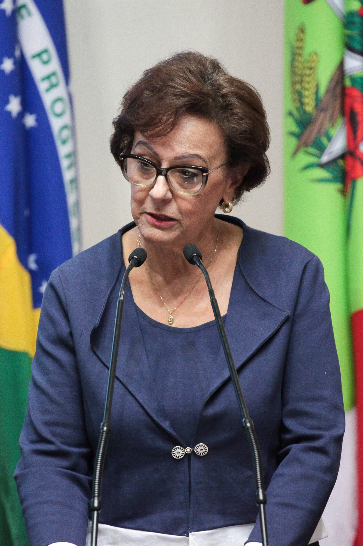 Deputada Dirce Heiderscheidt (PMDB). Sessão Ordinária.