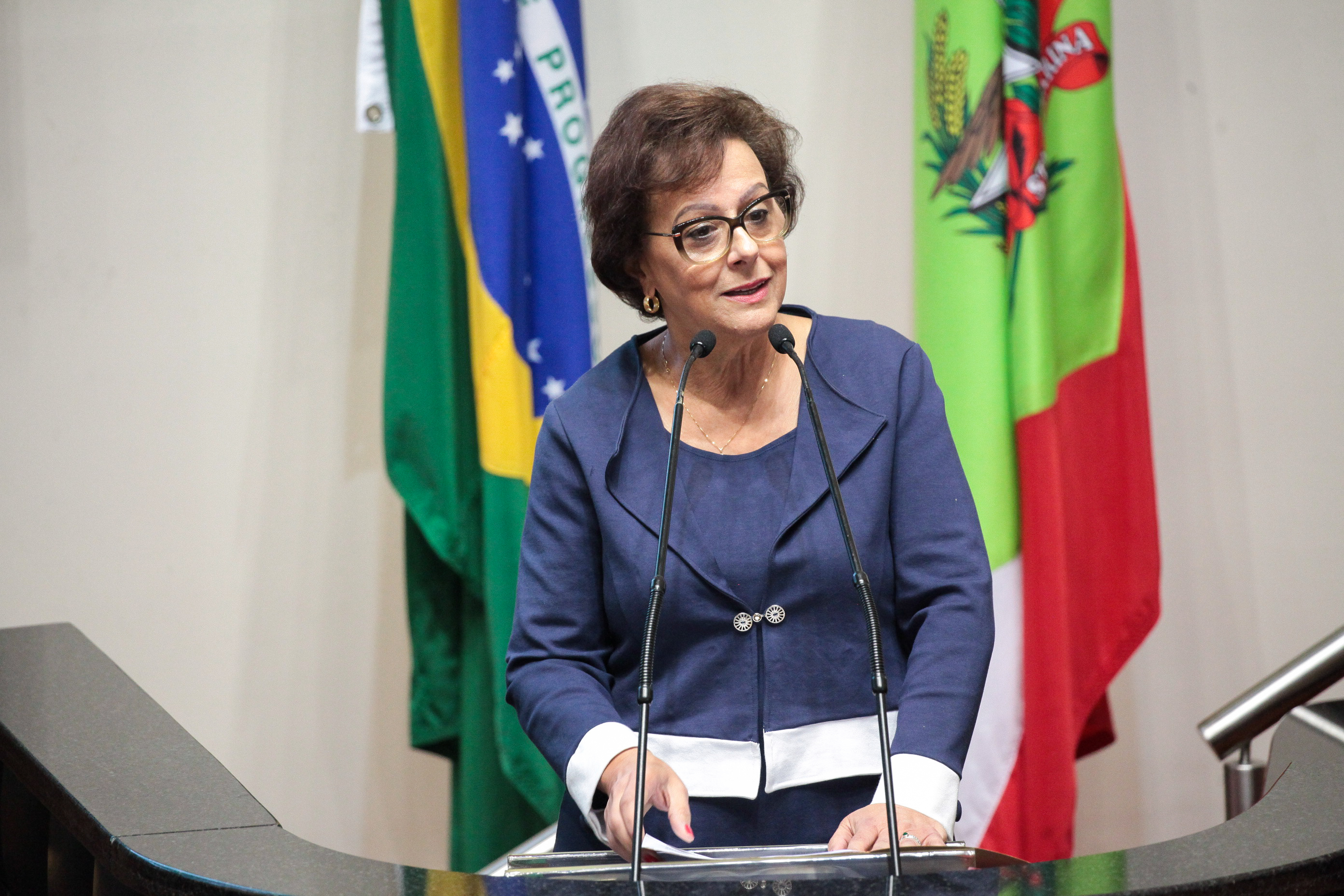 Deputada Dirce Heiderscheidt (PMDB). Sessão Ordinária.