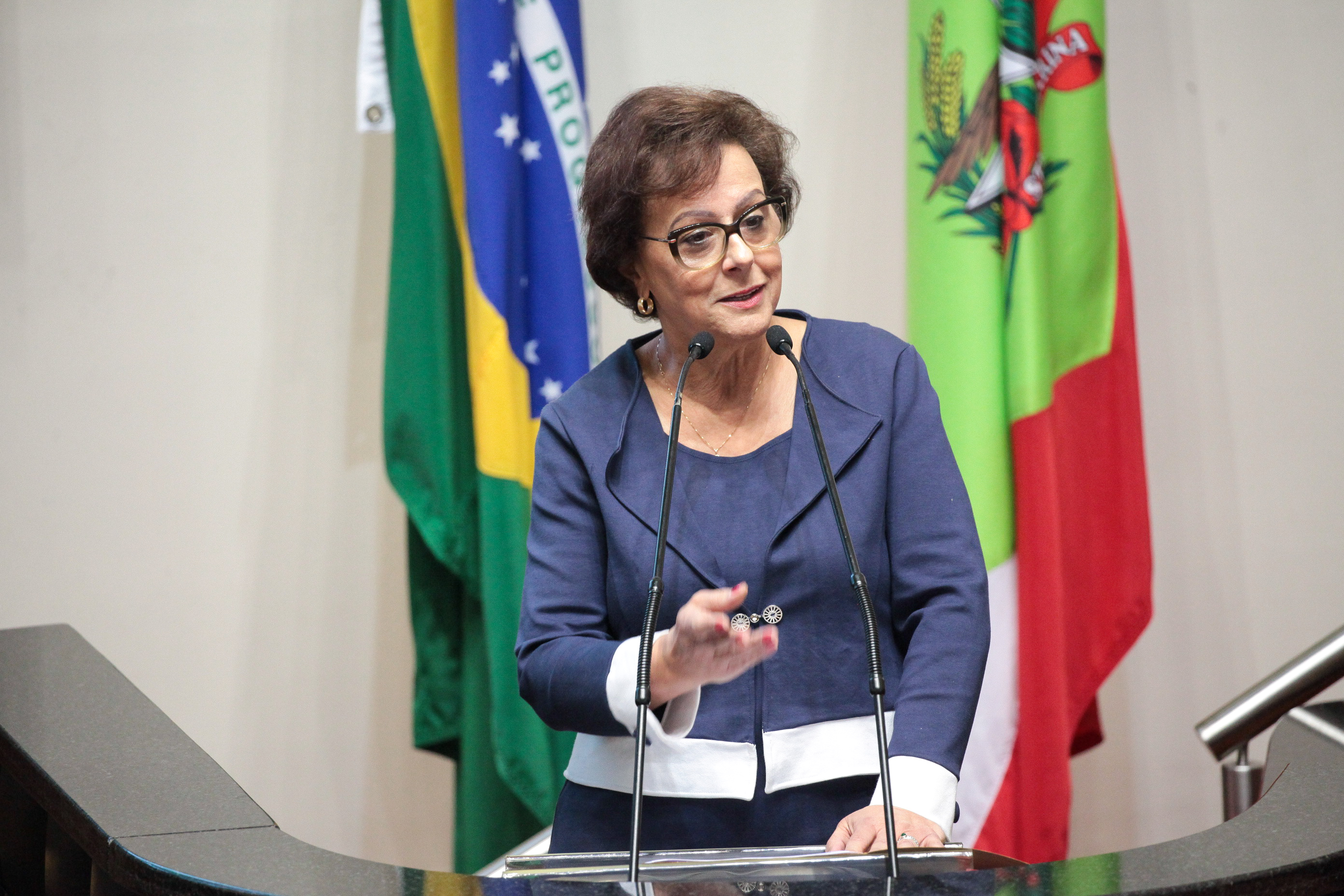 Deputada Dirce Heiderscheidt (PMDB). Sessão Ordinária.