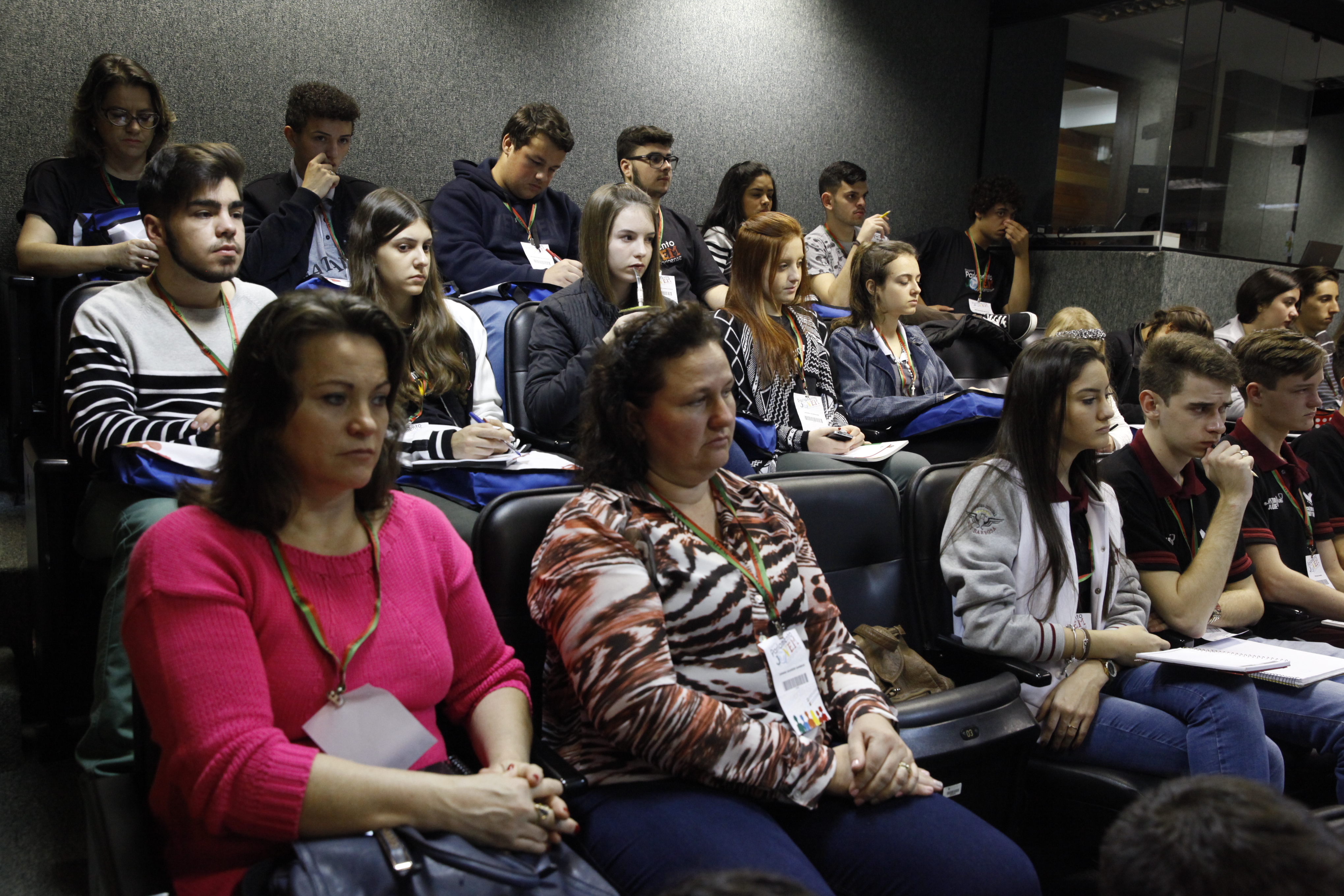 Parlamento Jovem  Preparação