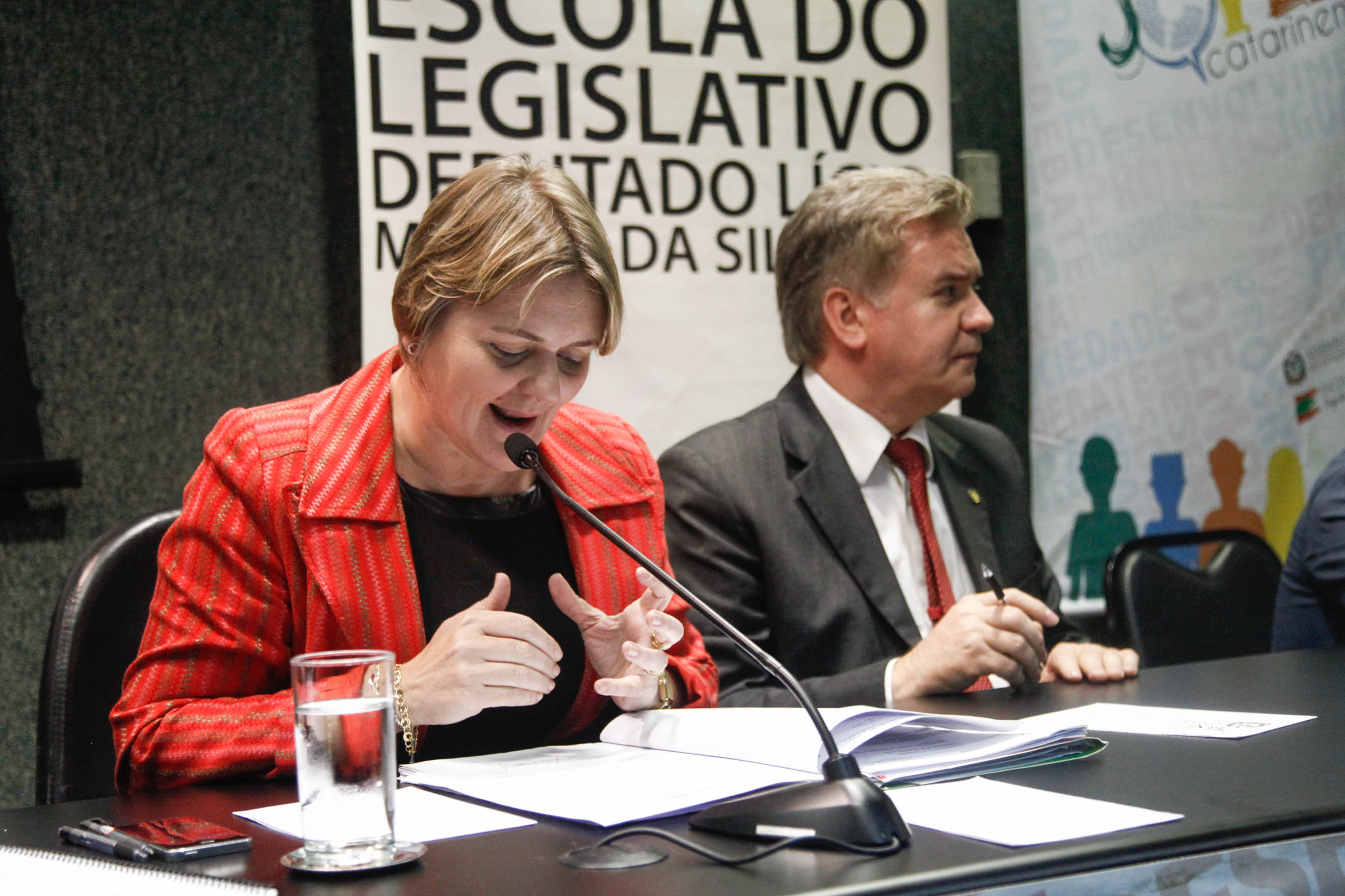 Reunião Ordinária da Comissão de Transportes e Desenvolvimento Urbano.
