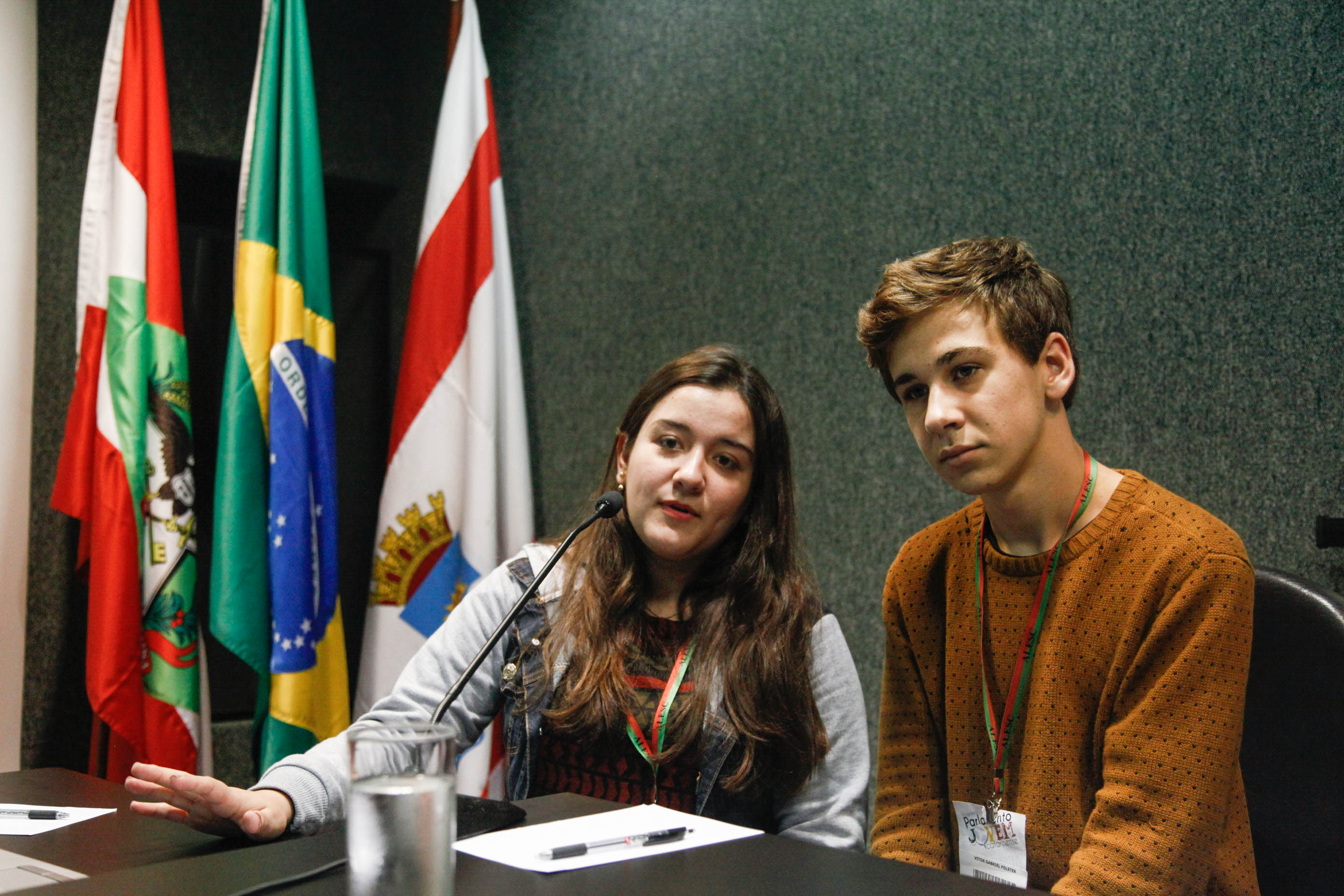 Reunião Ordinária da Comissão de Transportes e Desenvolvimento Urbano.