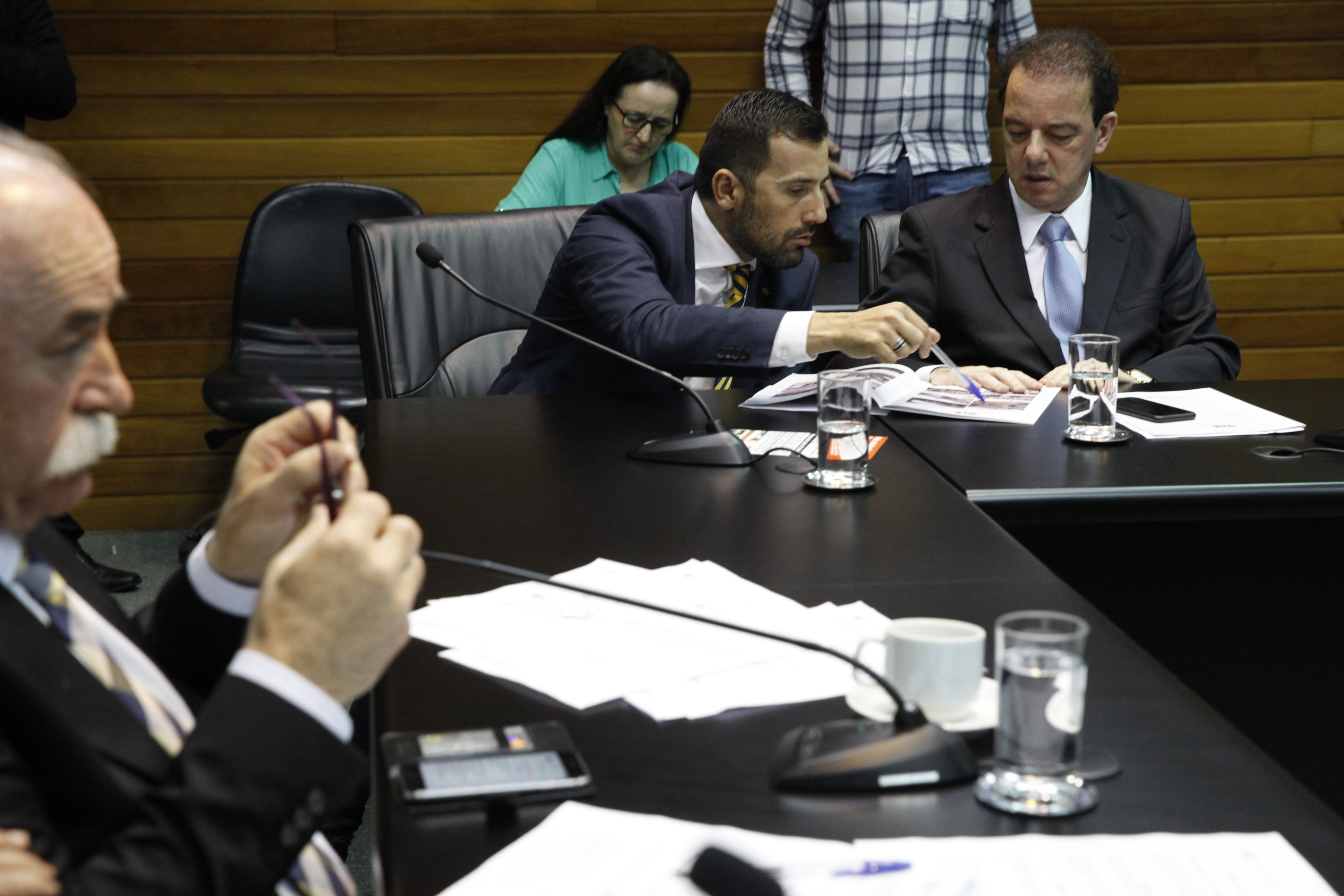 Reunião da Comissão de Segurança Pública.