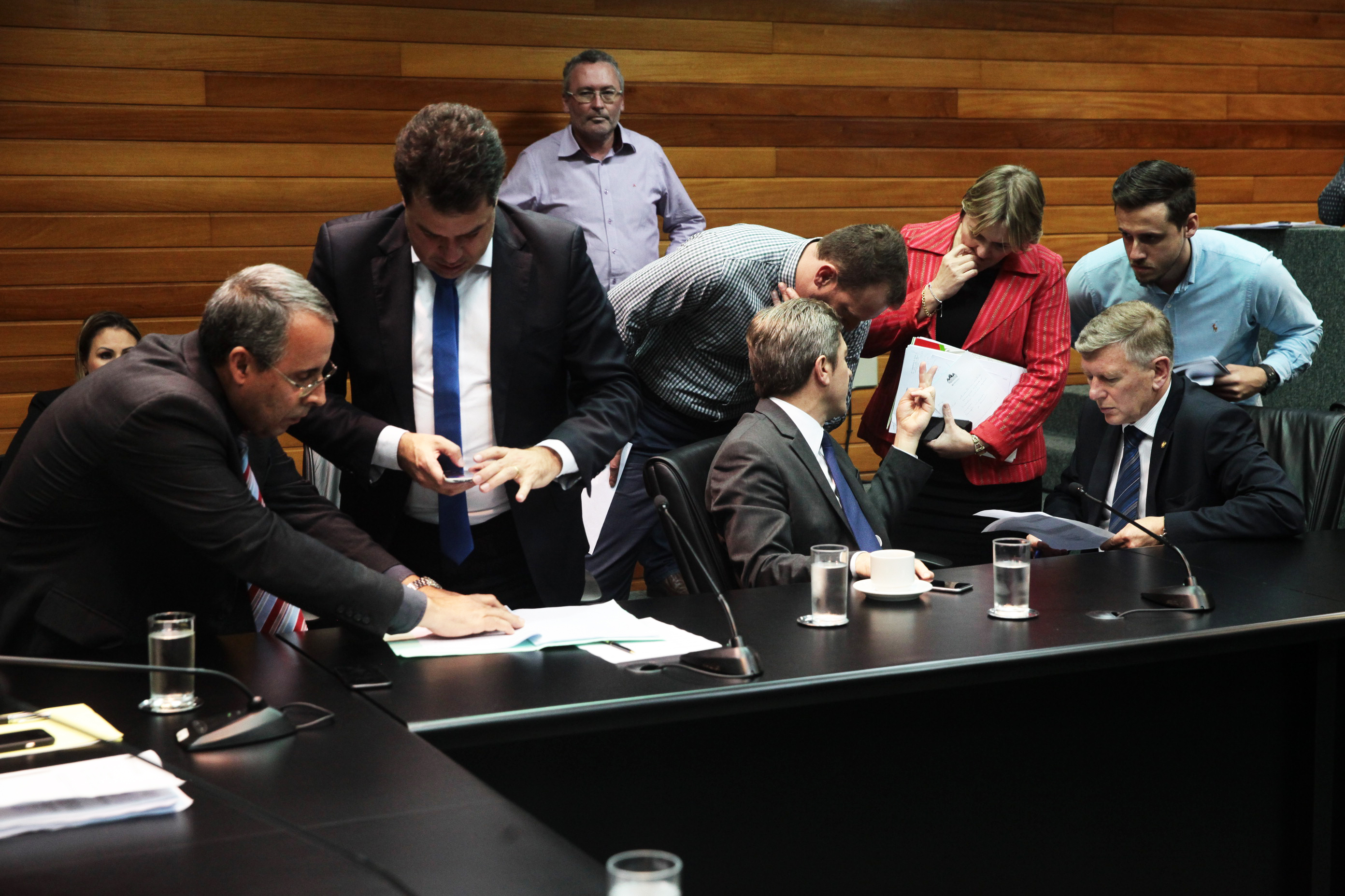 Reunião Extraordinária da Comissão de Constituição e Justiça.