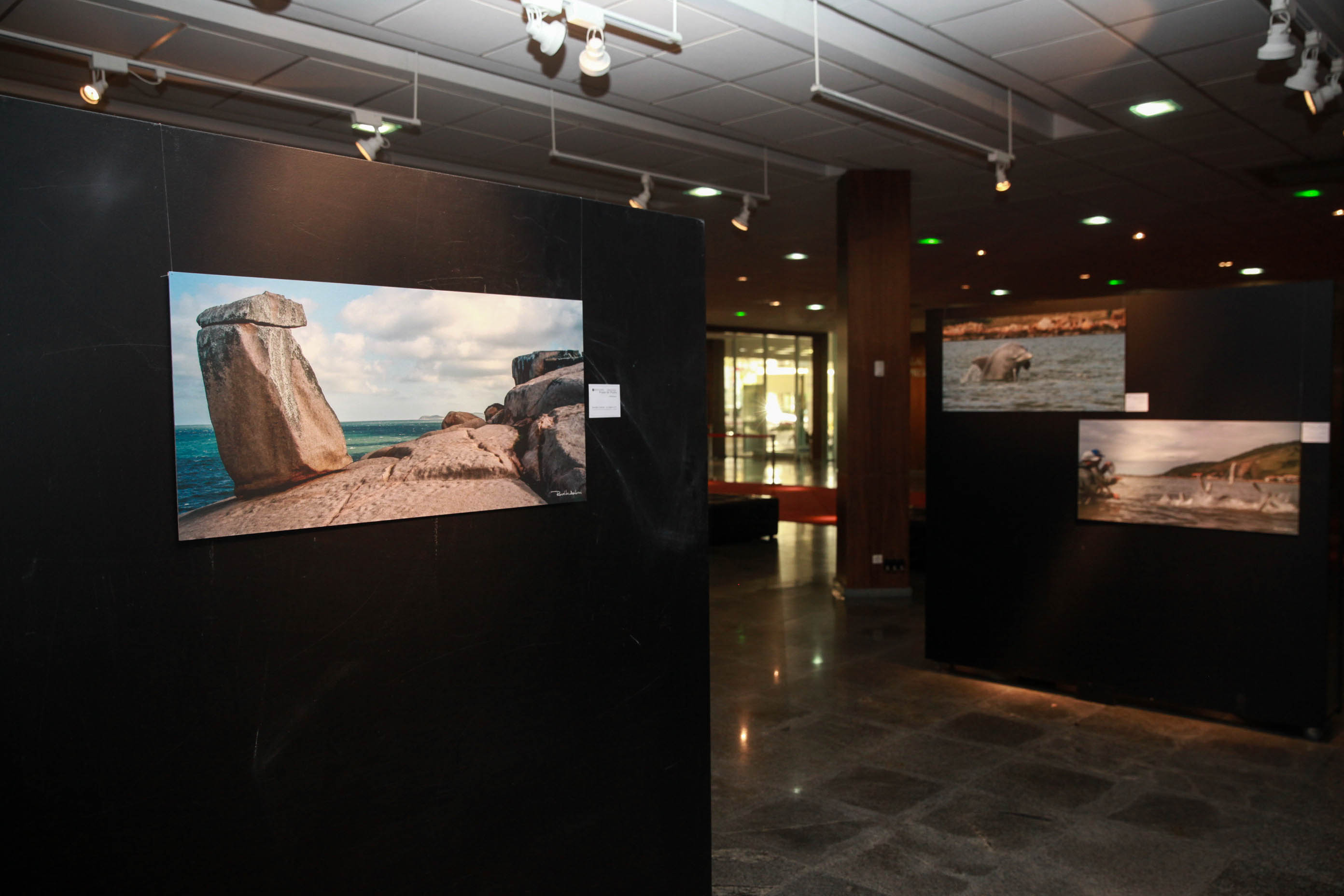 Exposição Laguna.
