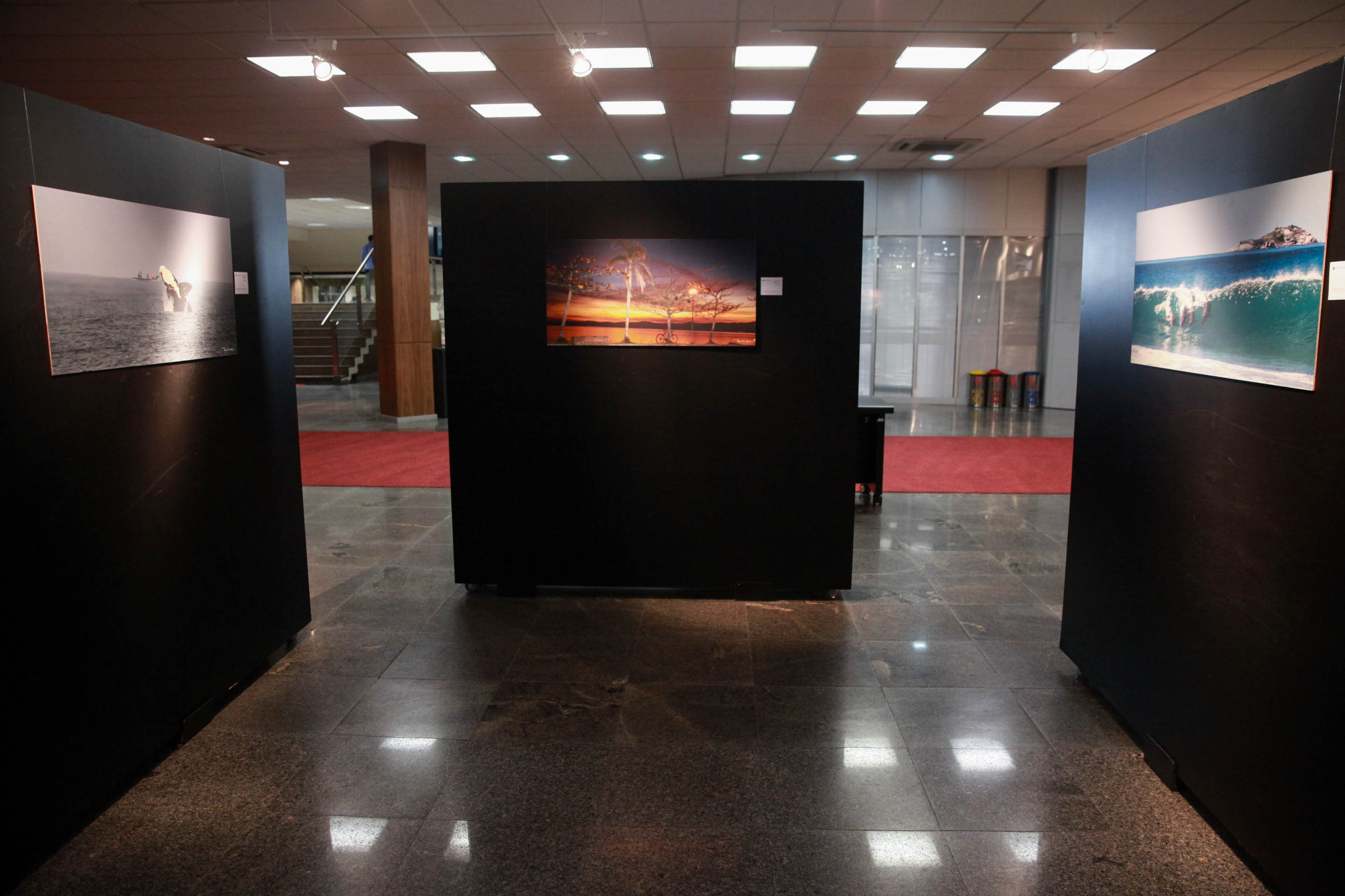 Exposição Laguna.