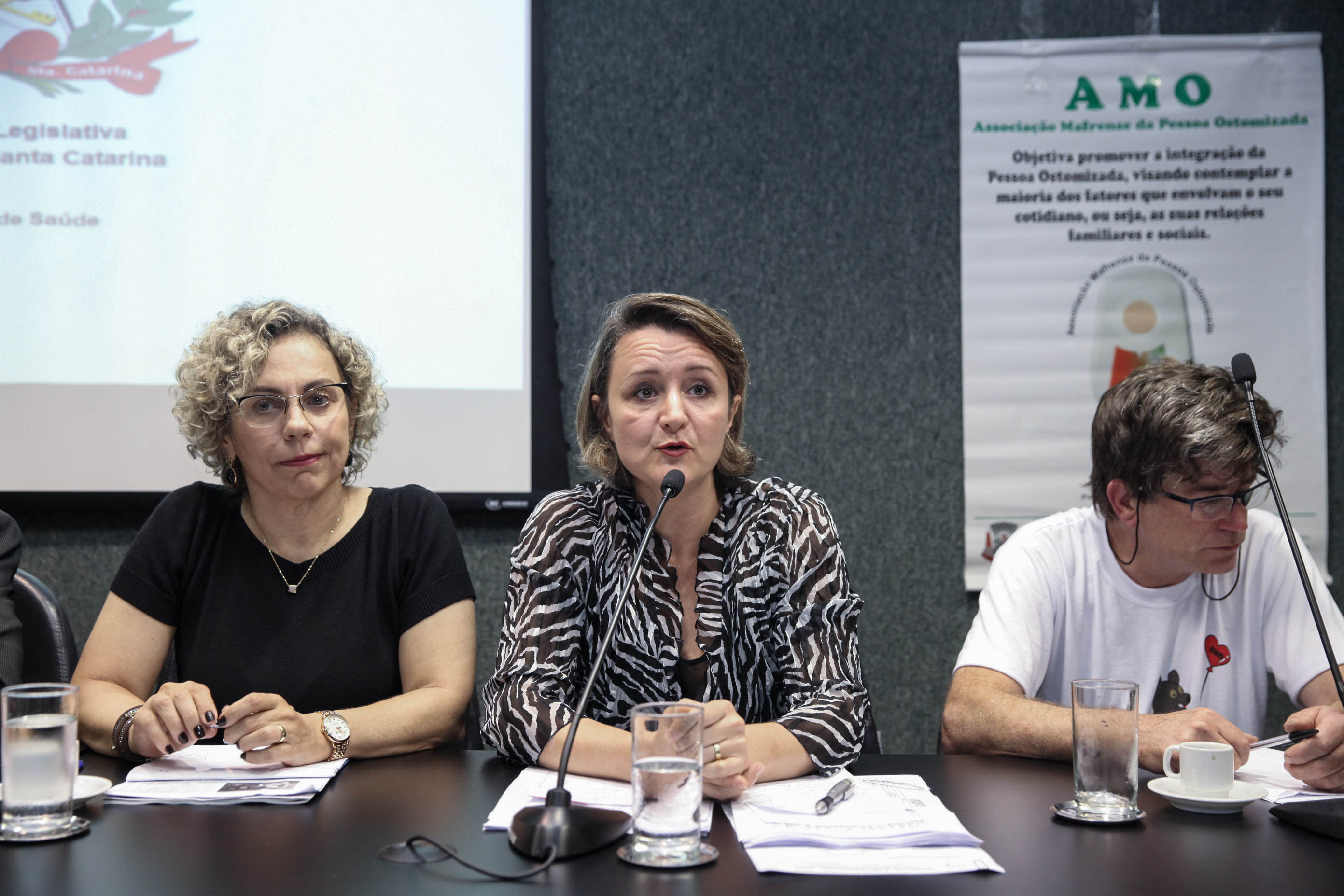 Audiência Pública Sobre a Situação dos Ostomizados em Santa Catarina.