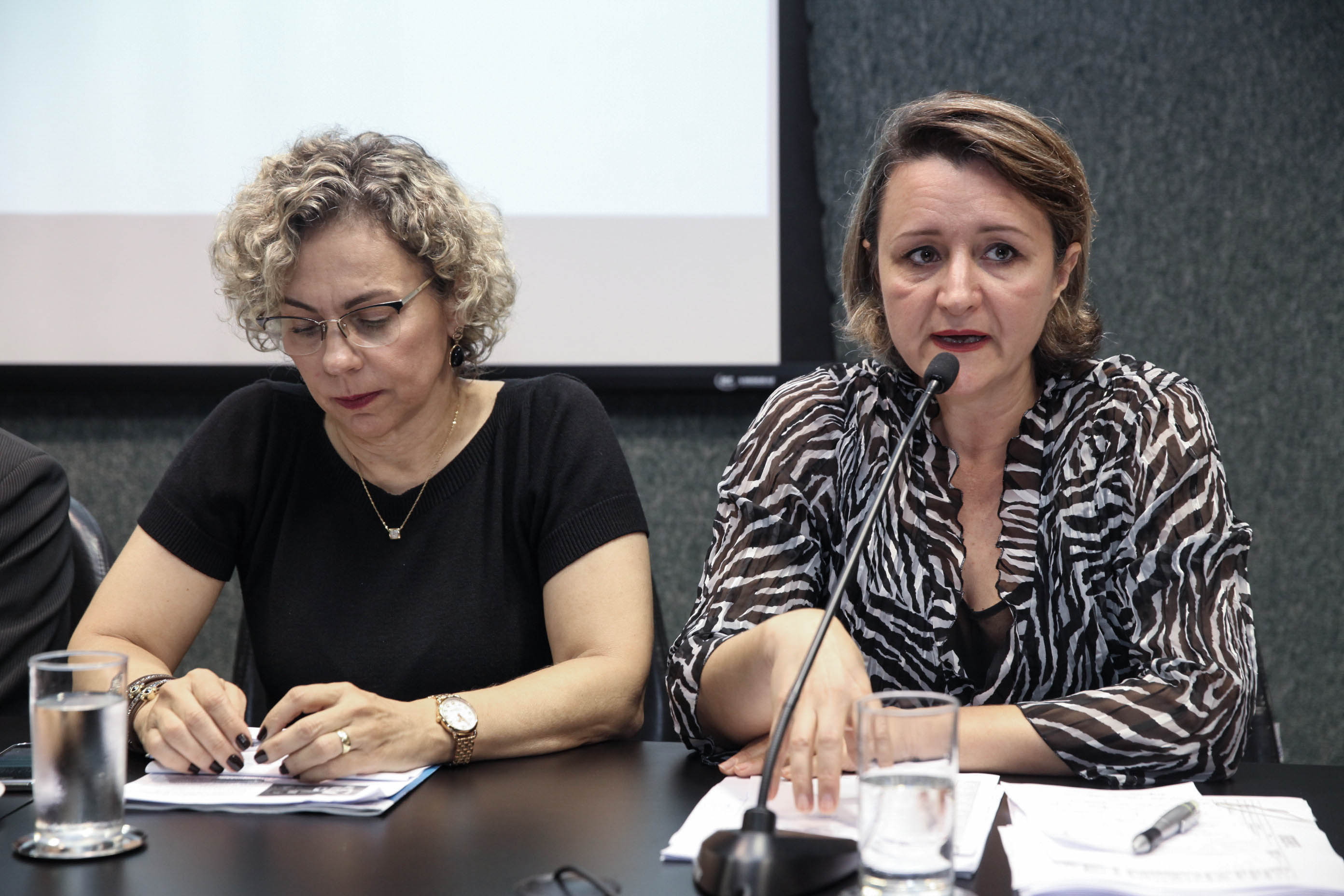 Audiência Pública Sobre a Situação dos Ostomizados em Santa Catarina.