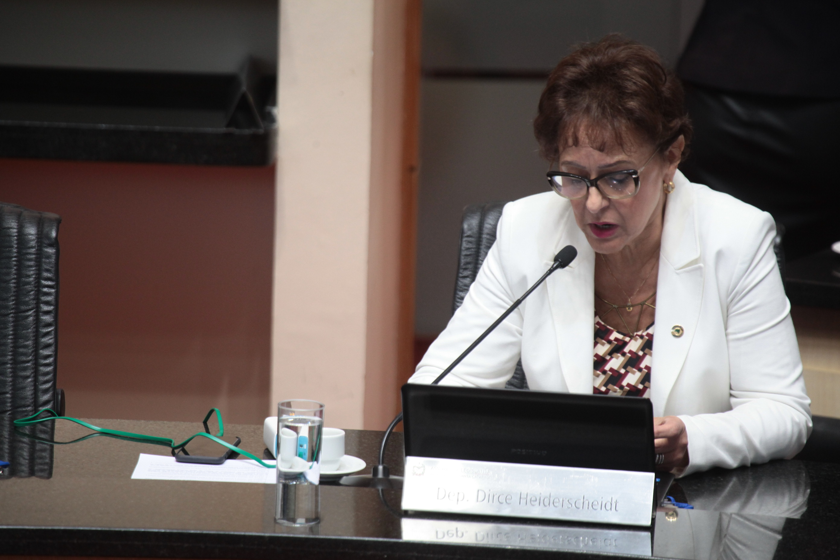 Sessão Ordinária. Deputada Dirce Heiderscheidt (PMDB)