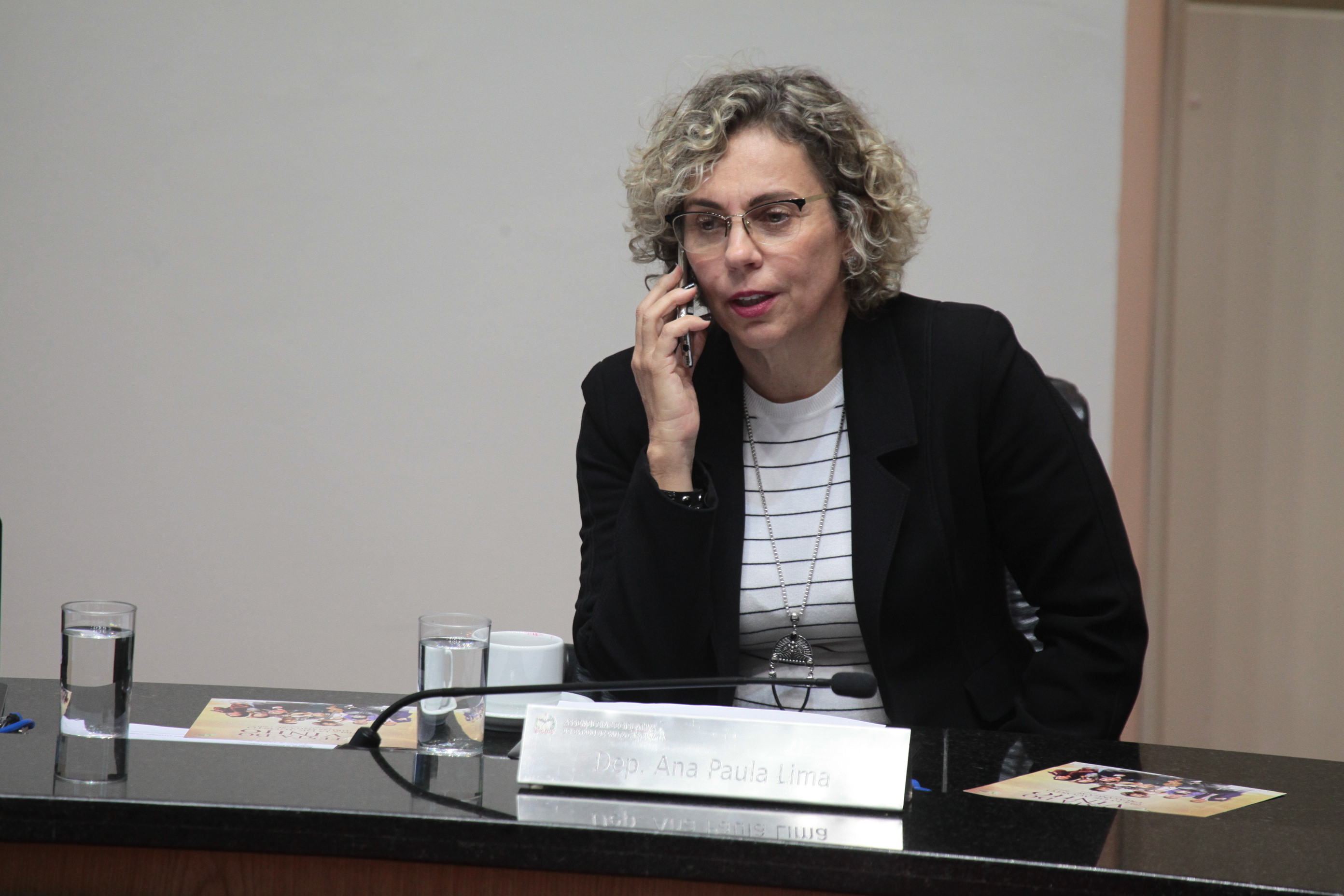 Deputada Ana Paula Lima (PT). Sessão Ordinária.