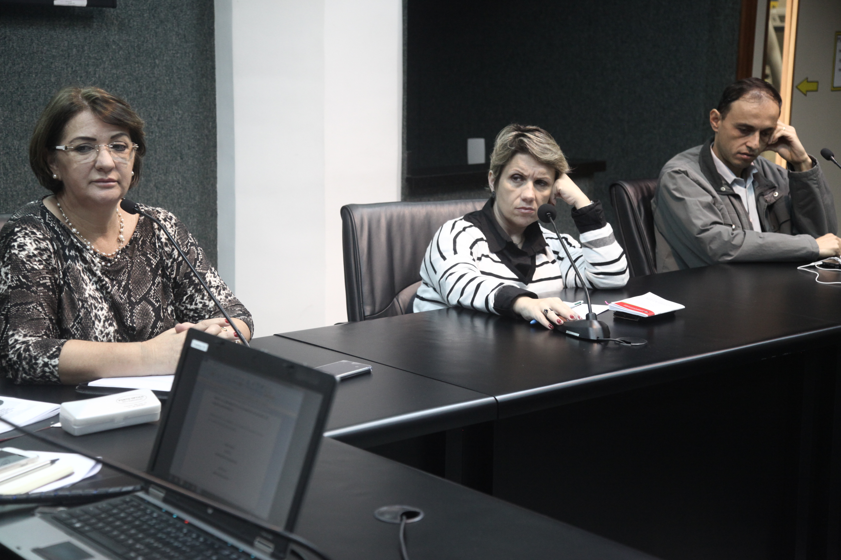 Grupo de Trabalho - Lei Catarinense de Inclusão.