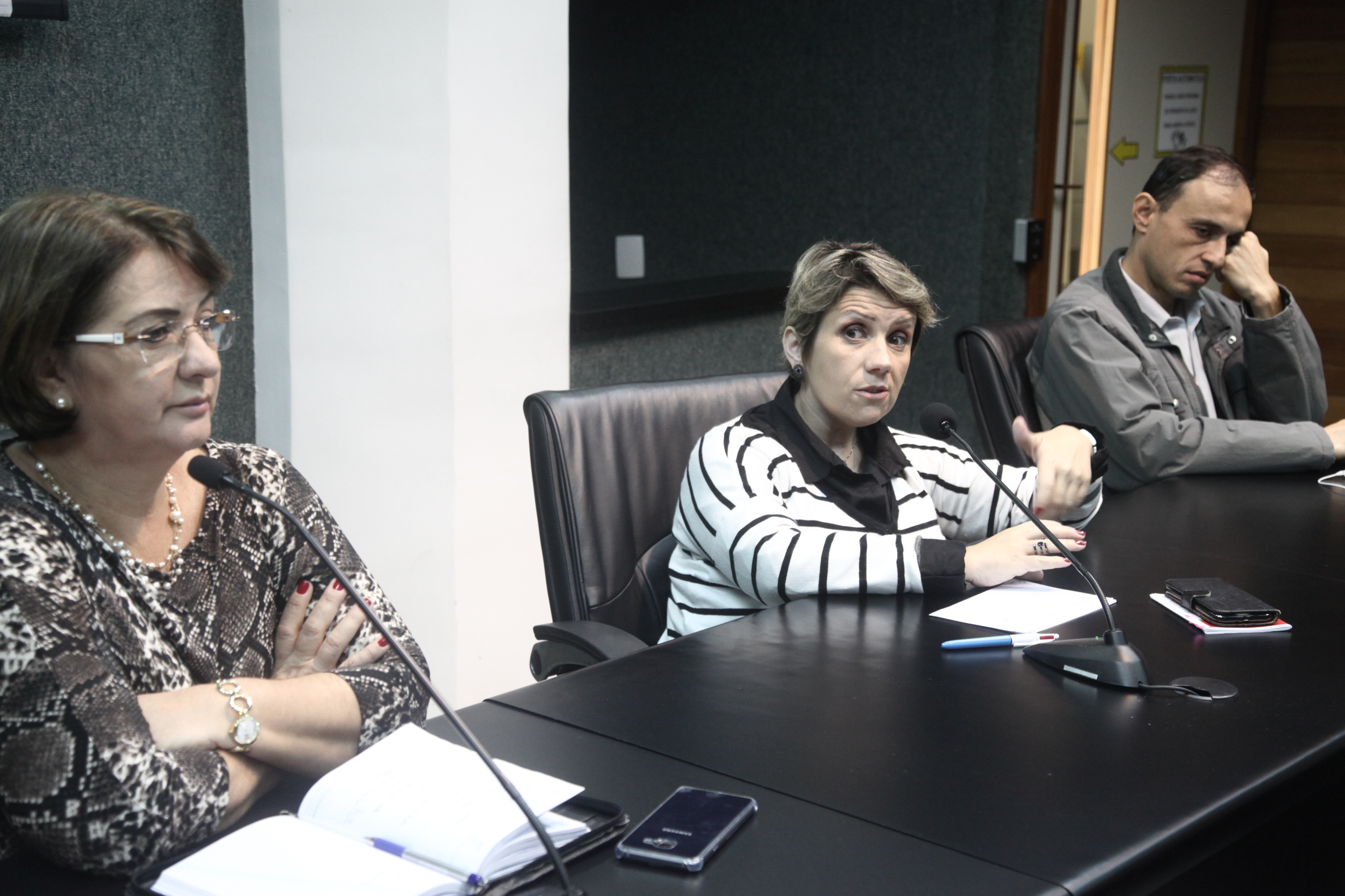 Grupo de Trabalho - Lei Catarinense de Inclusão.