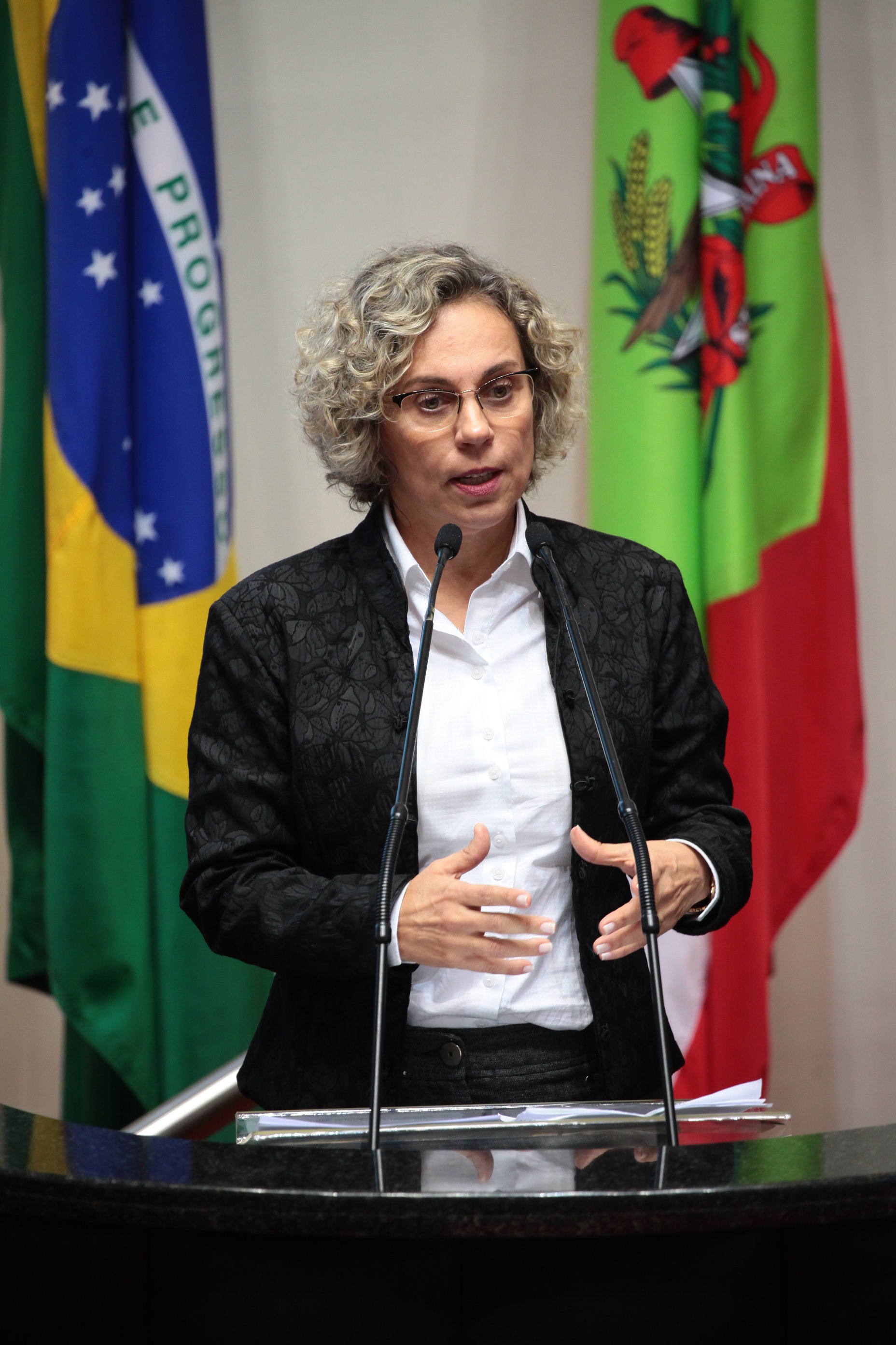 Deputada Ana Paula Lima (PT). Sessão Ordinária.