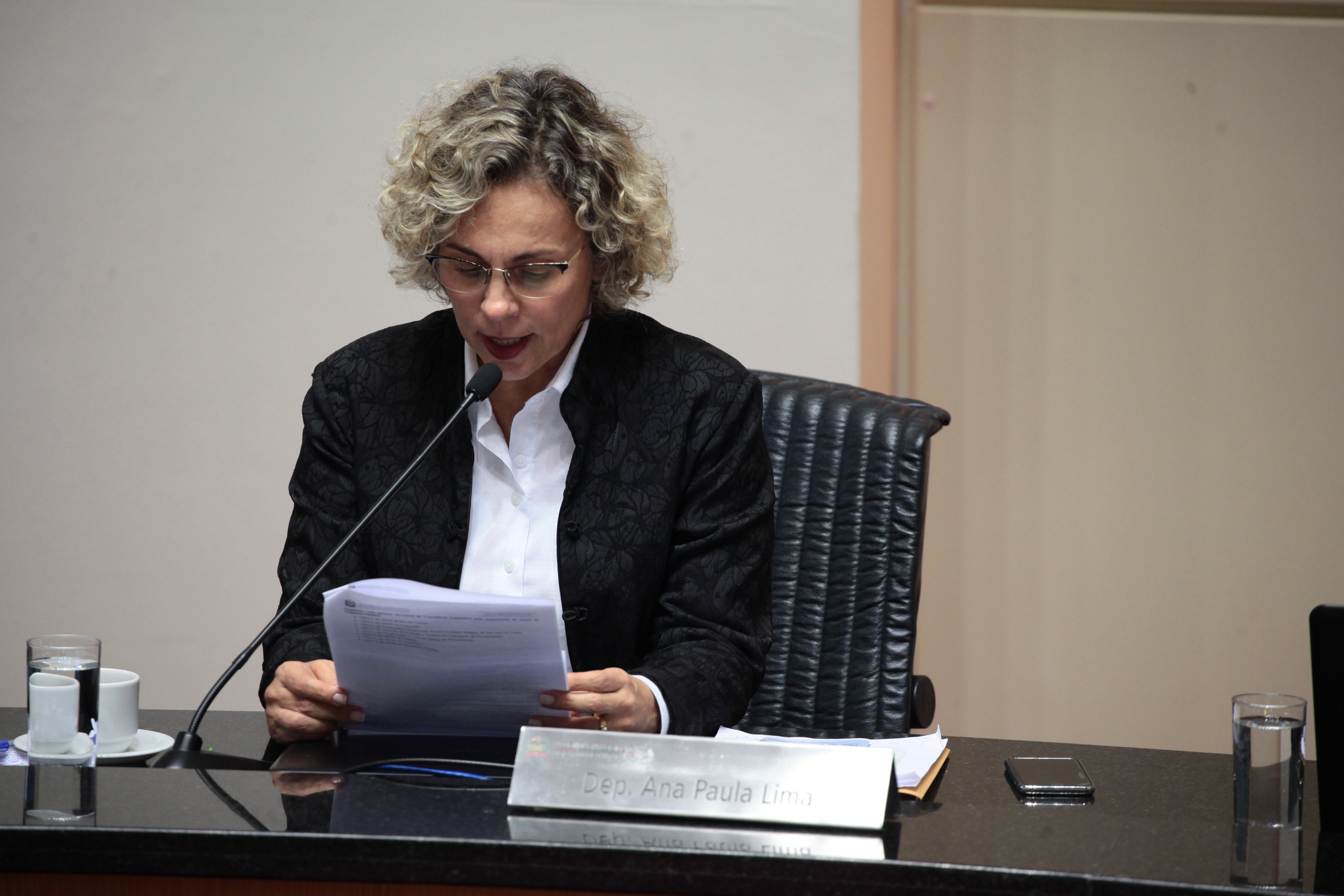 Deputada Ana Paula Lima (PT). Sessão Ordinária.