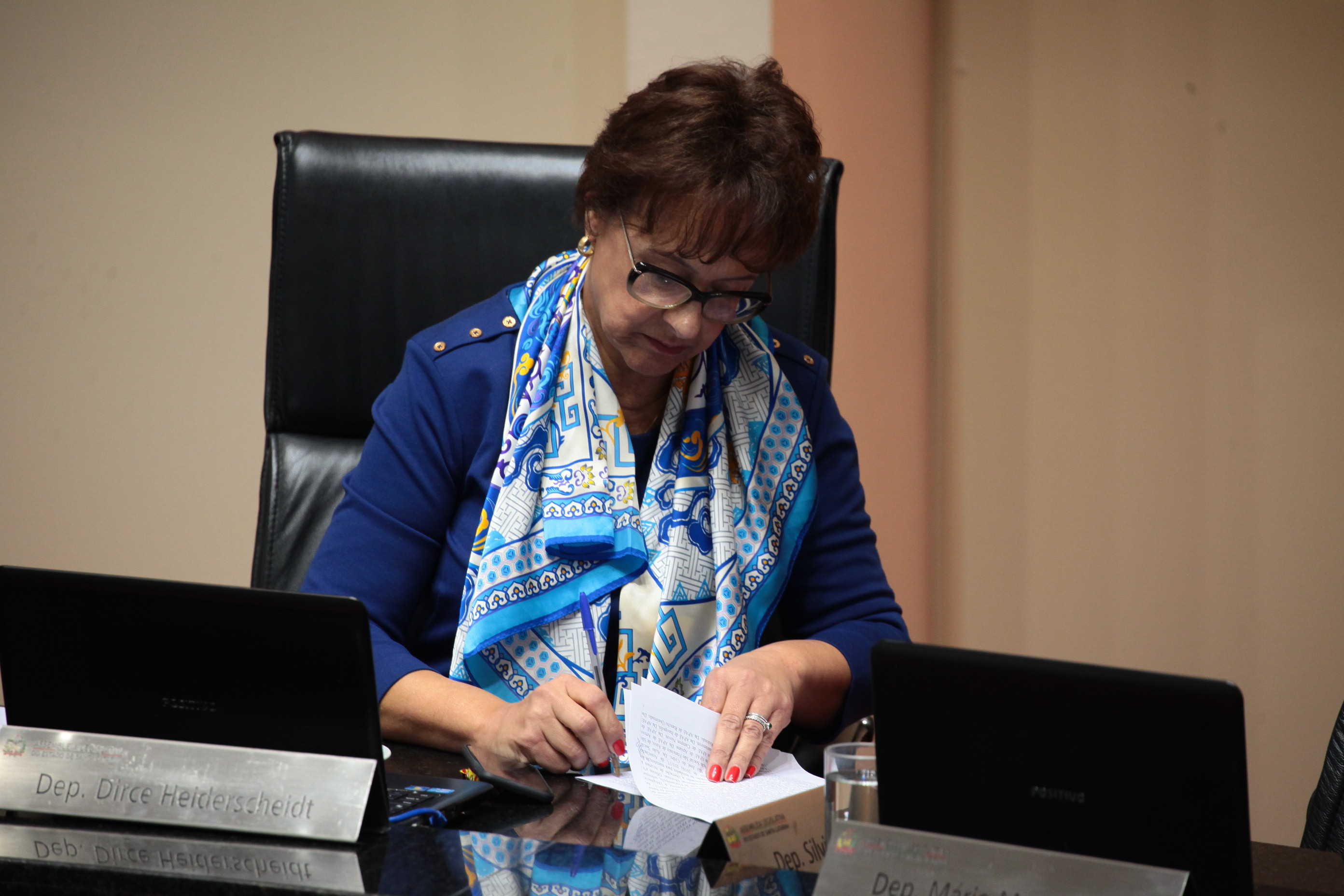 Deputada Dirce Heiderscheidt (PMDB). Sessão Ordinária.