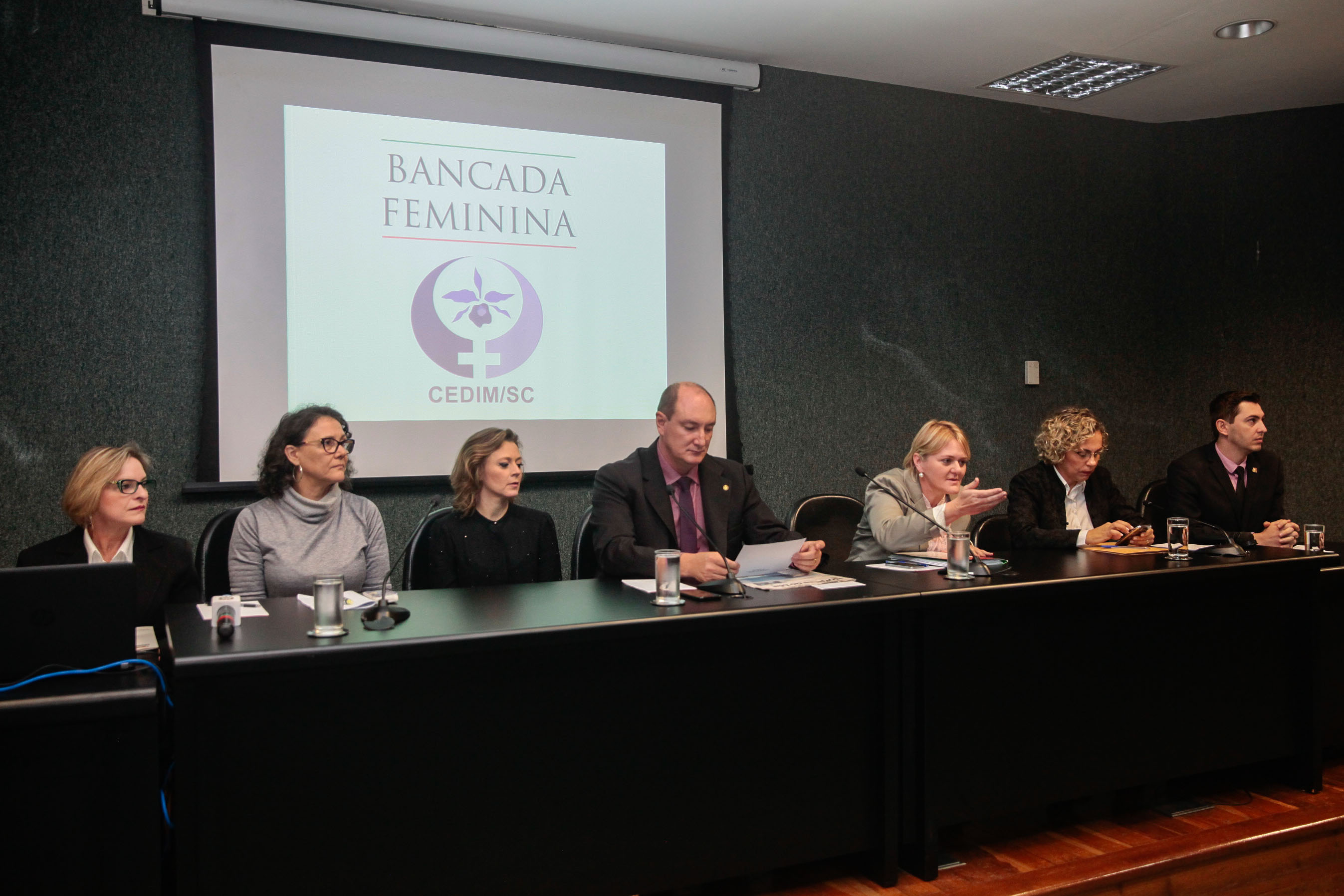 Audiência Pública Pacto Maria da Penha.
