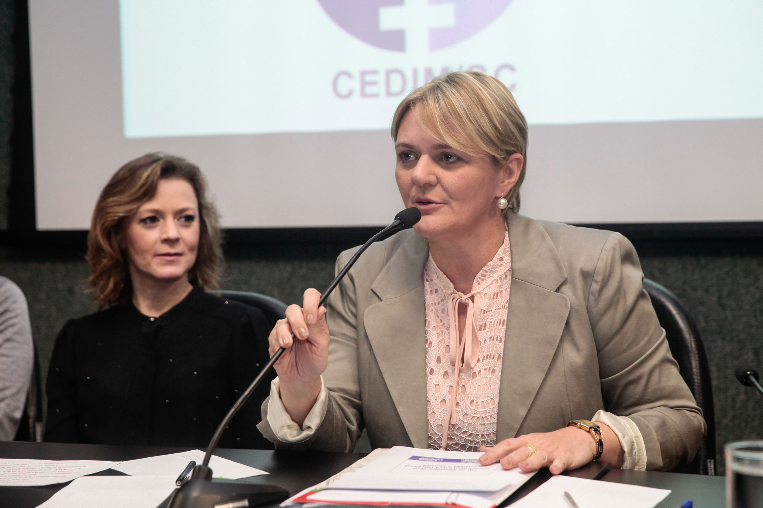 Audiência Pública Pacto Maria da Penha.