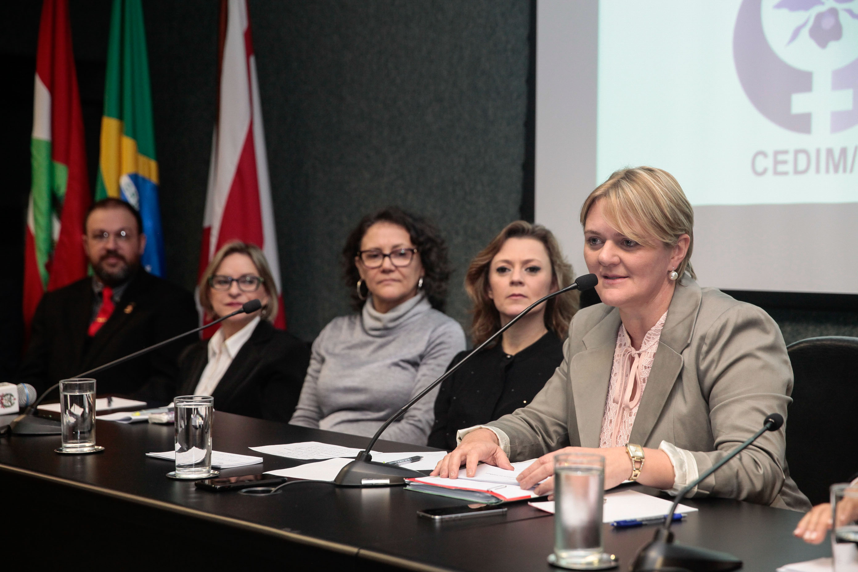 Audiência Pública Pacto Maria da Penha.