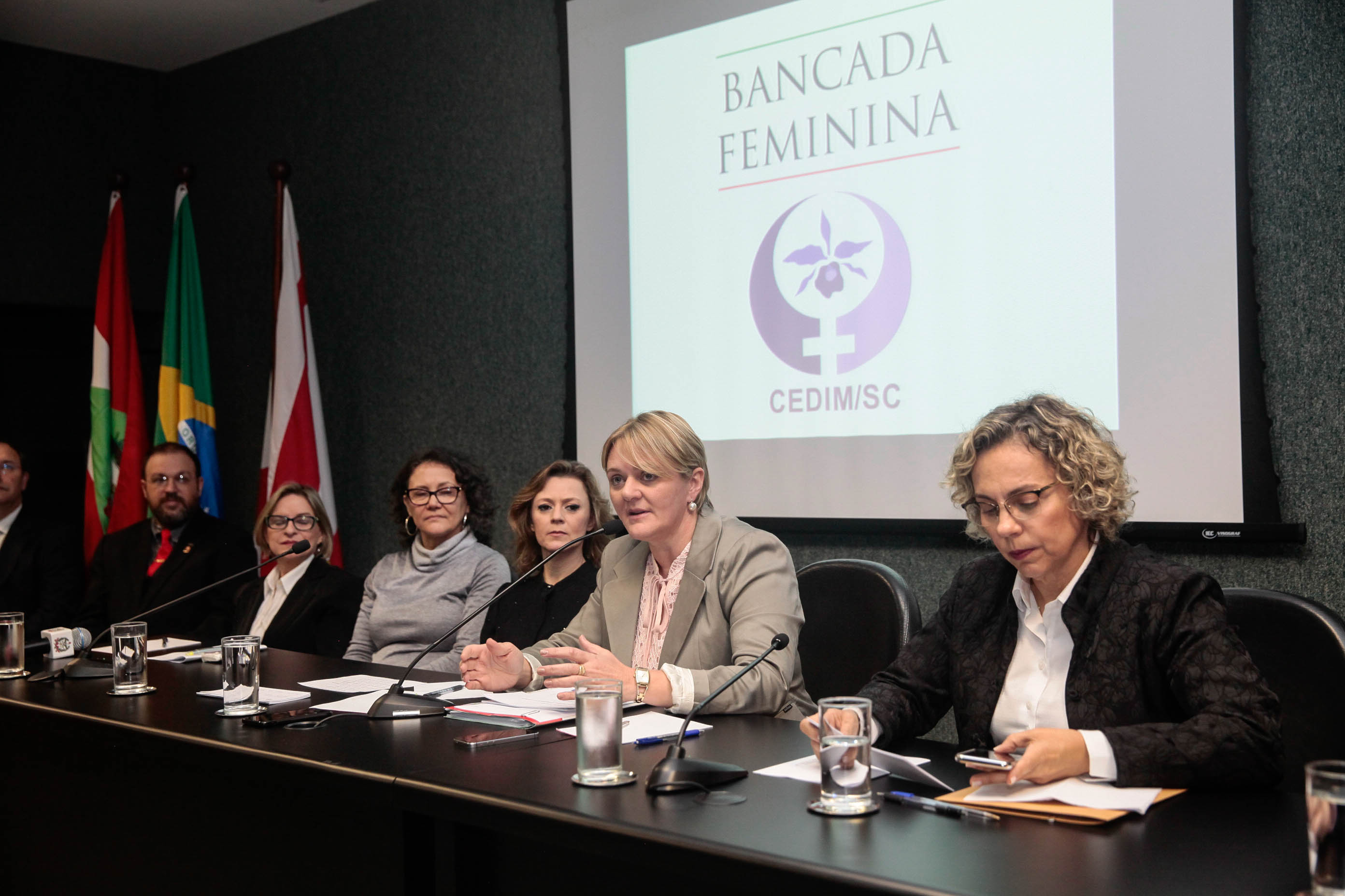 Audiência Pública Pacto Maria da Penha.