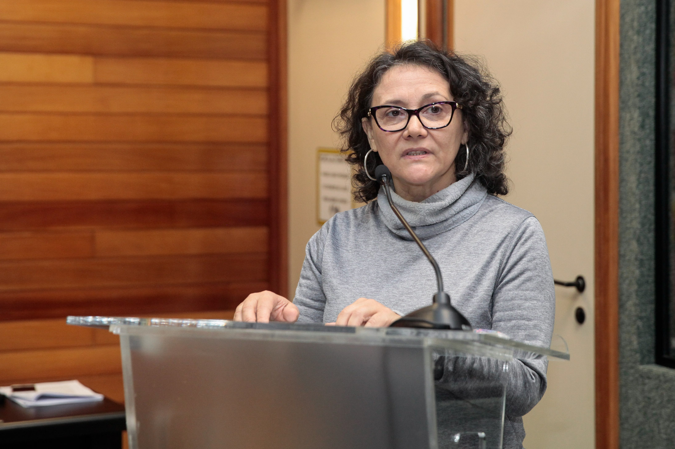 Audiência Pública Pacto Maria da Penha.